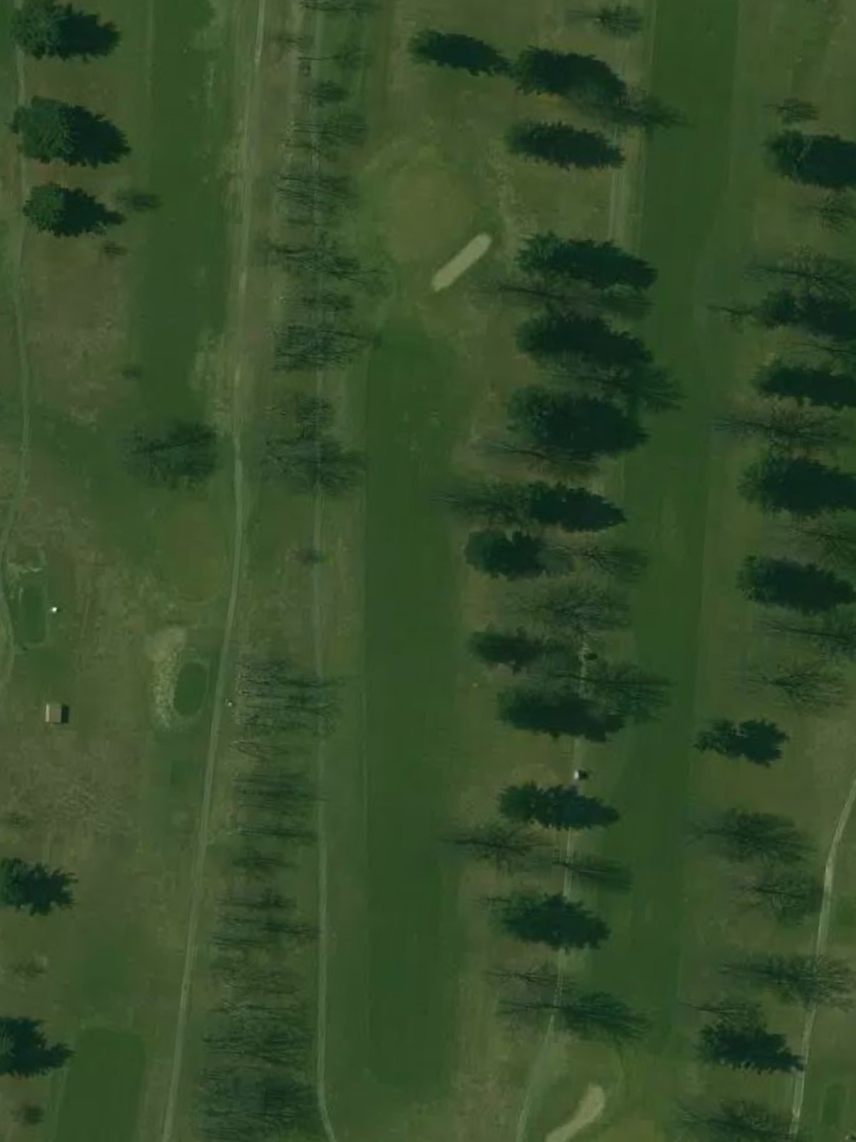 Hole 8 satellite