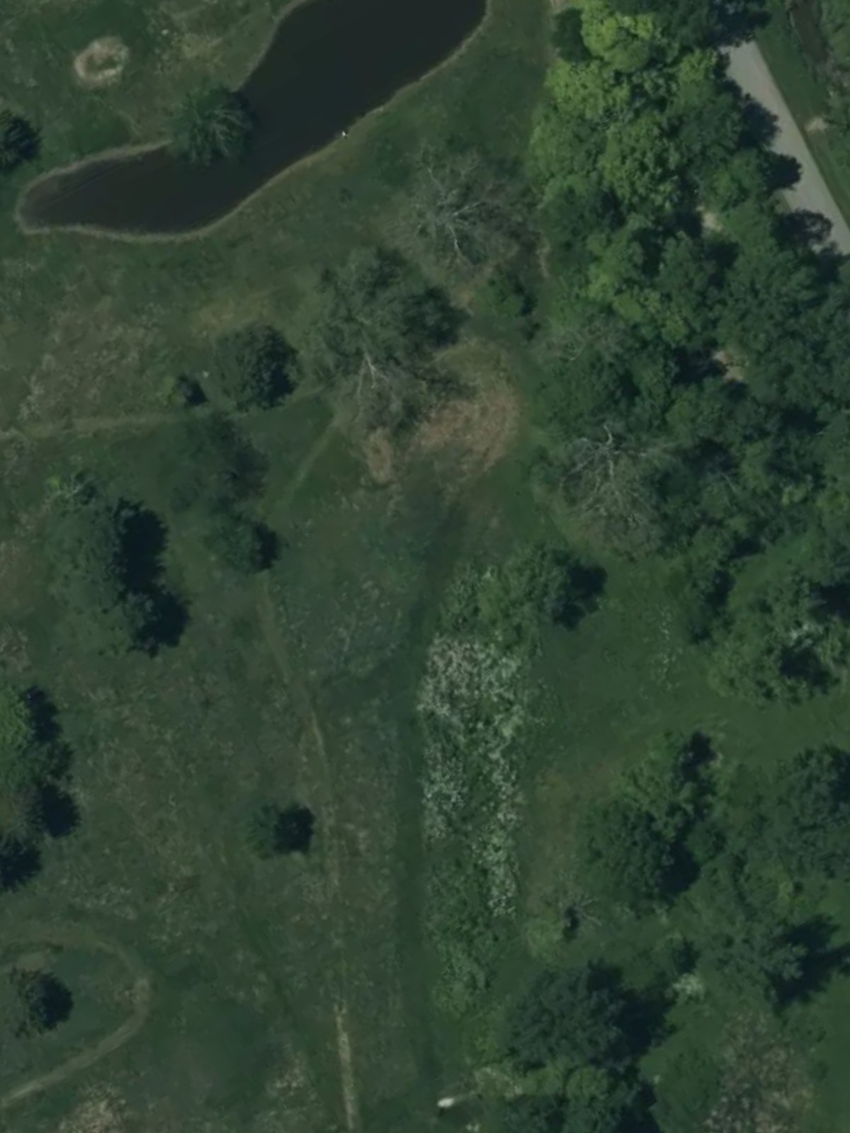 Hole 11 satellite