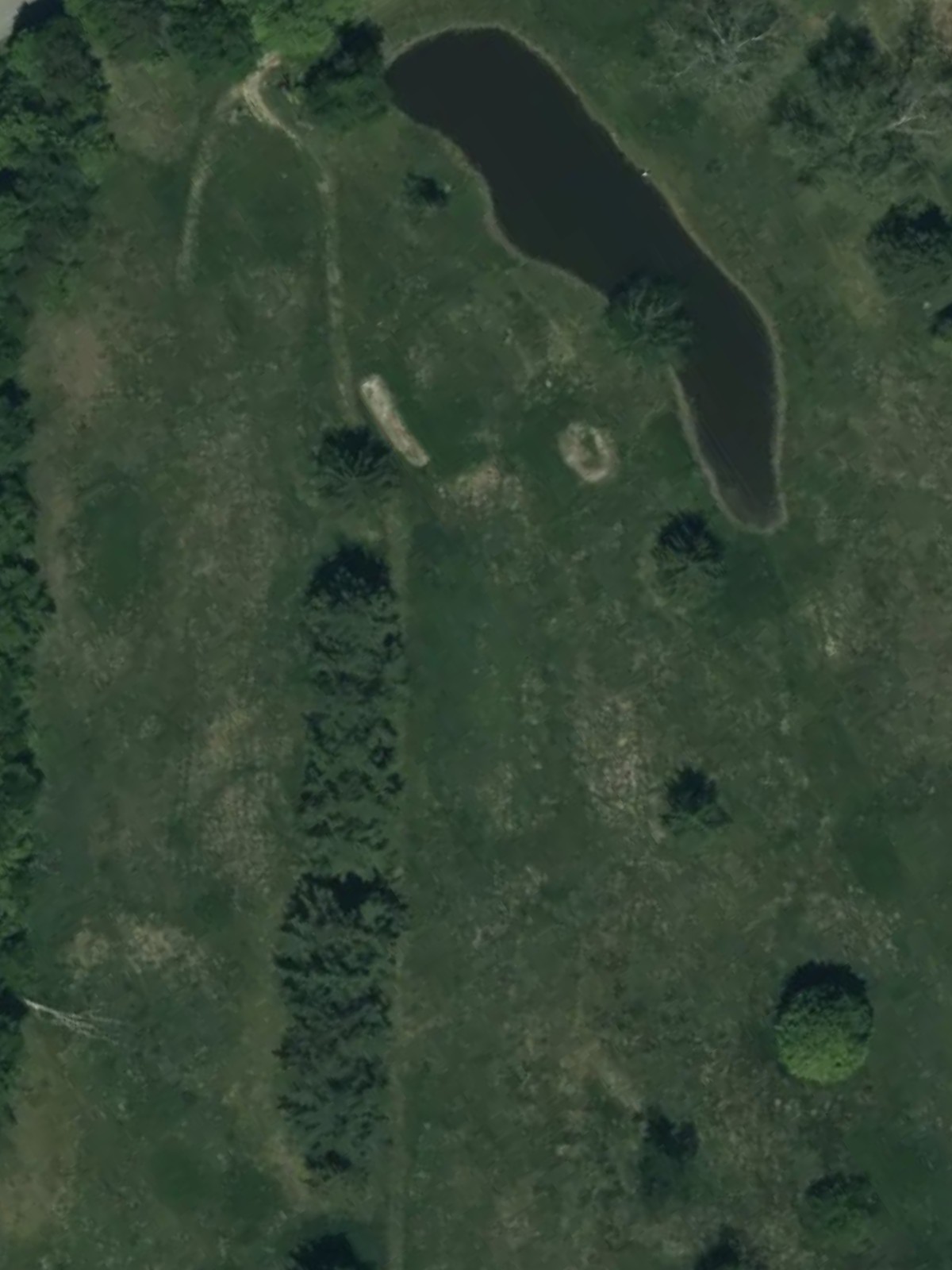 Hole 15 satellite