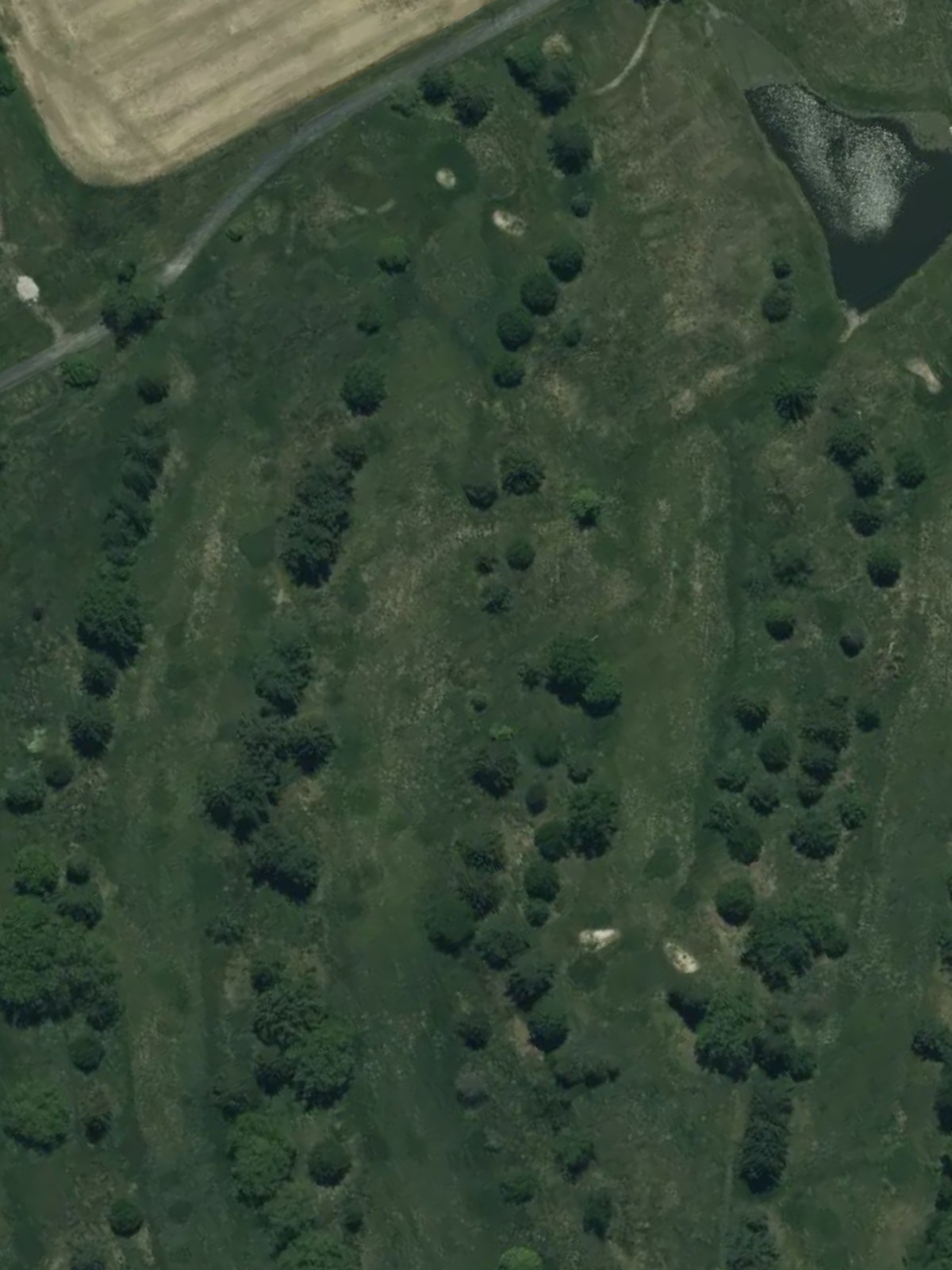 Hole 16 satellite