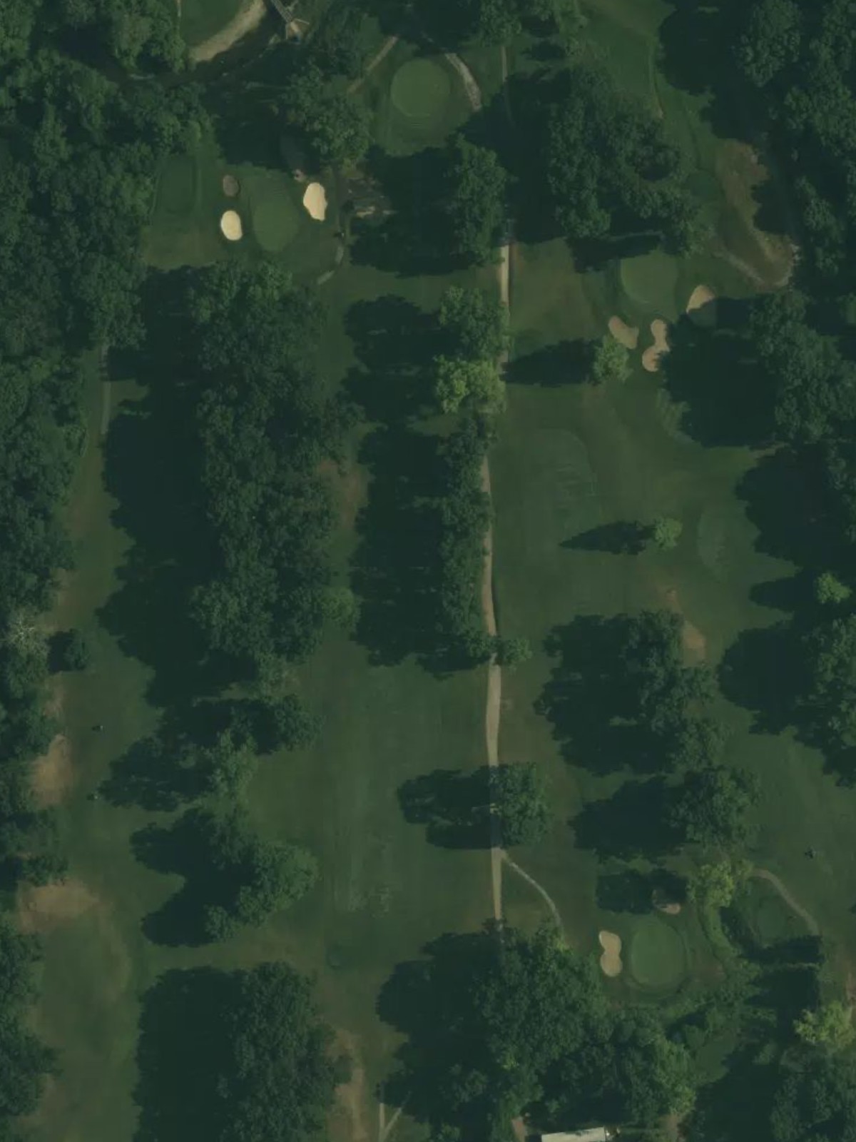 Hole 8 satellite