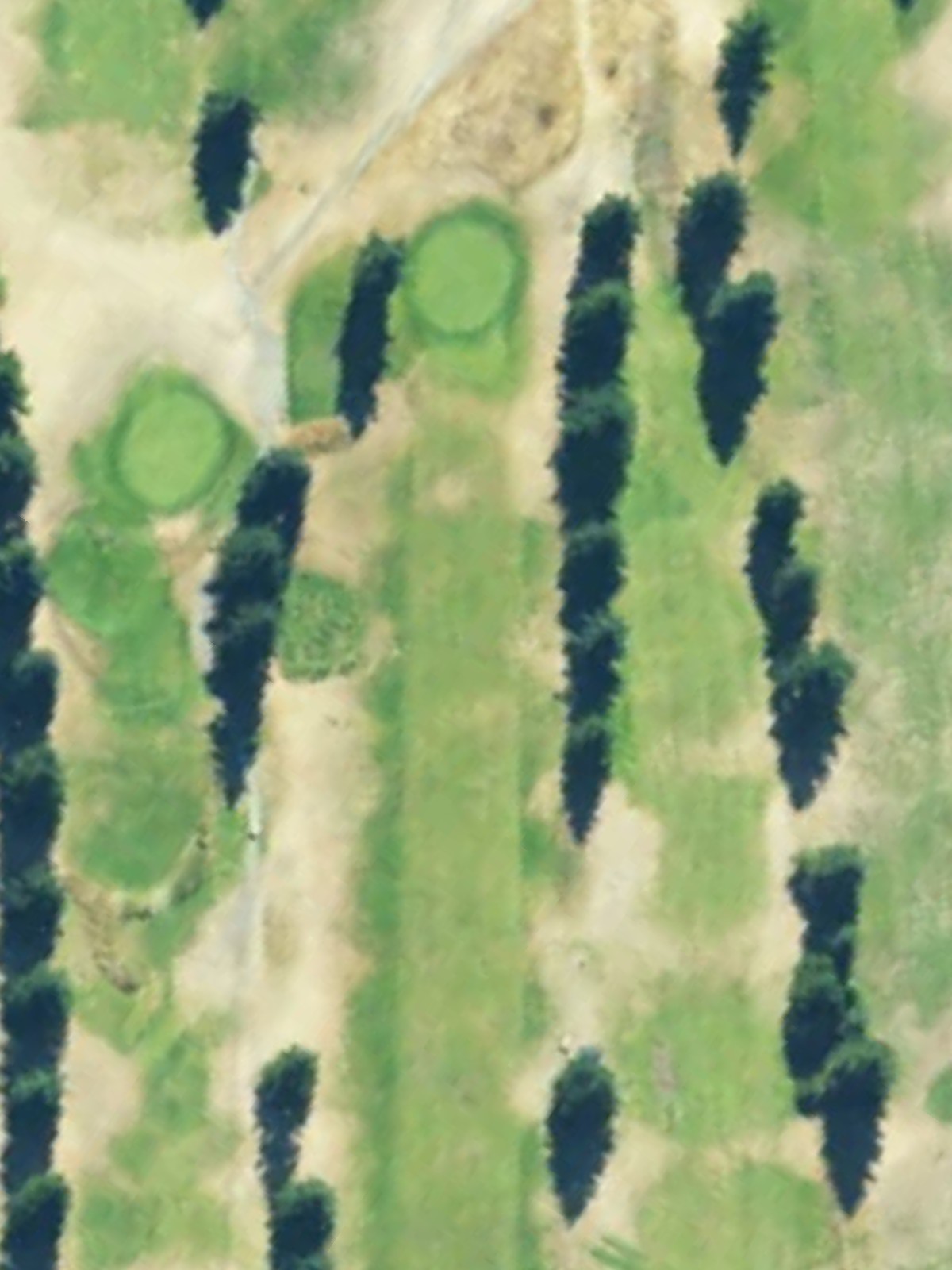 Hole 10 satellite