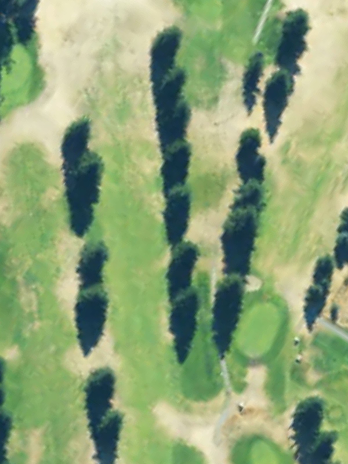 Hole 13 satellite