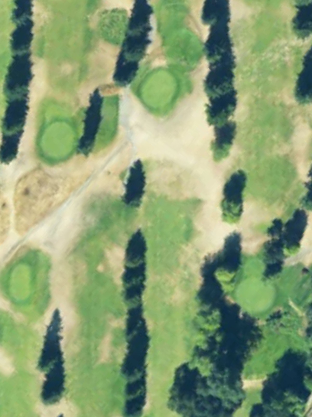 Hole 6 satellite
