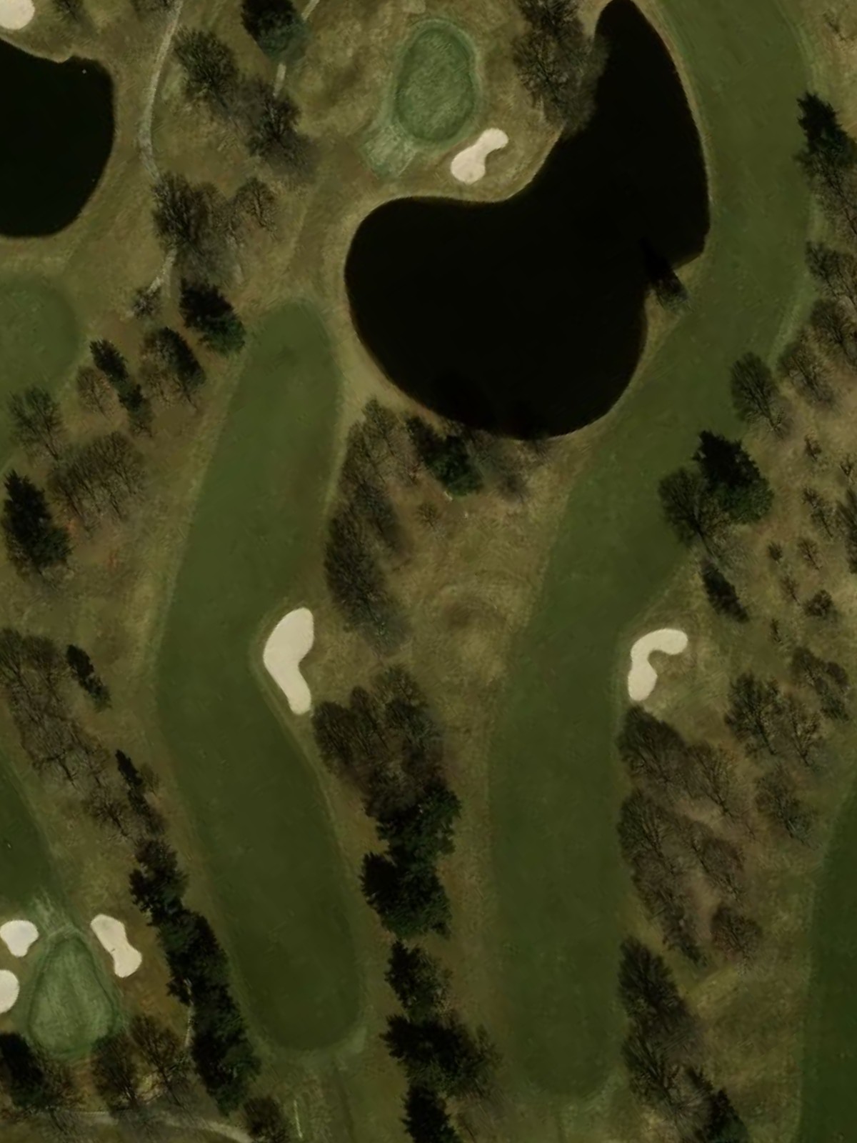Hole 8 satellite