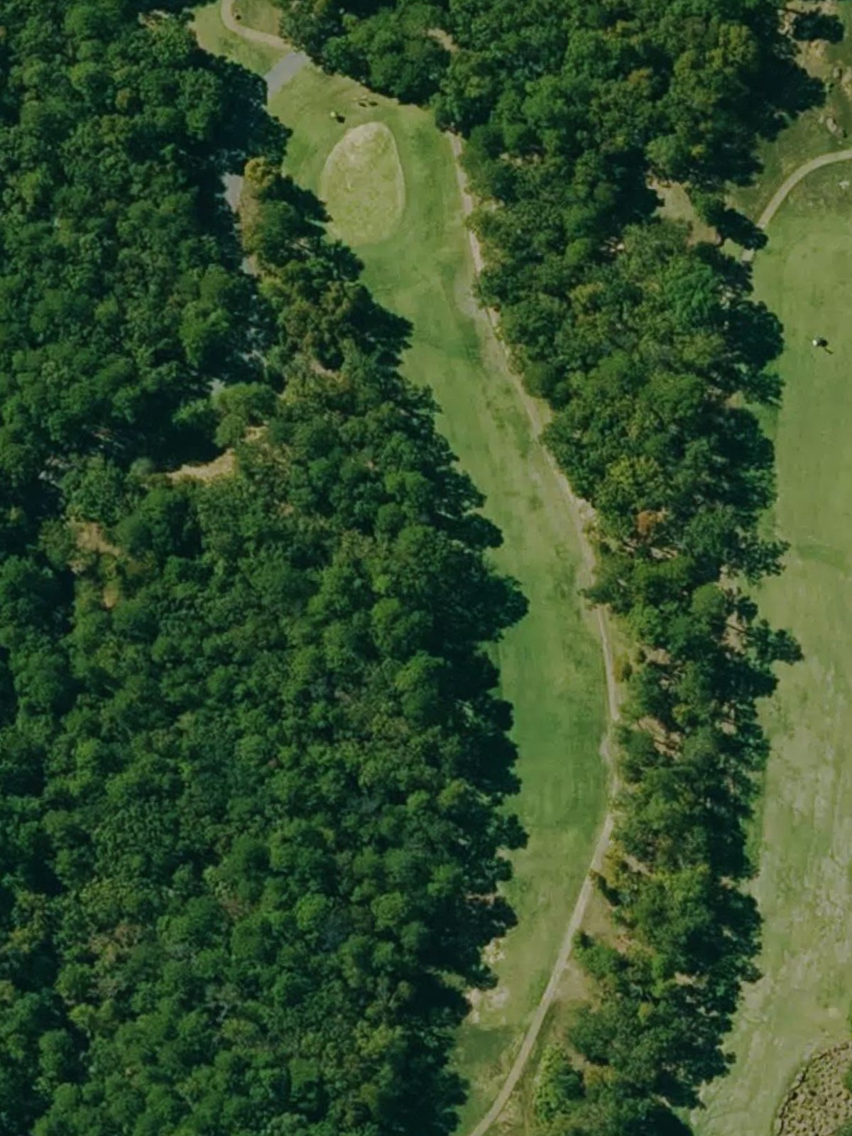 Hole 15 satellite