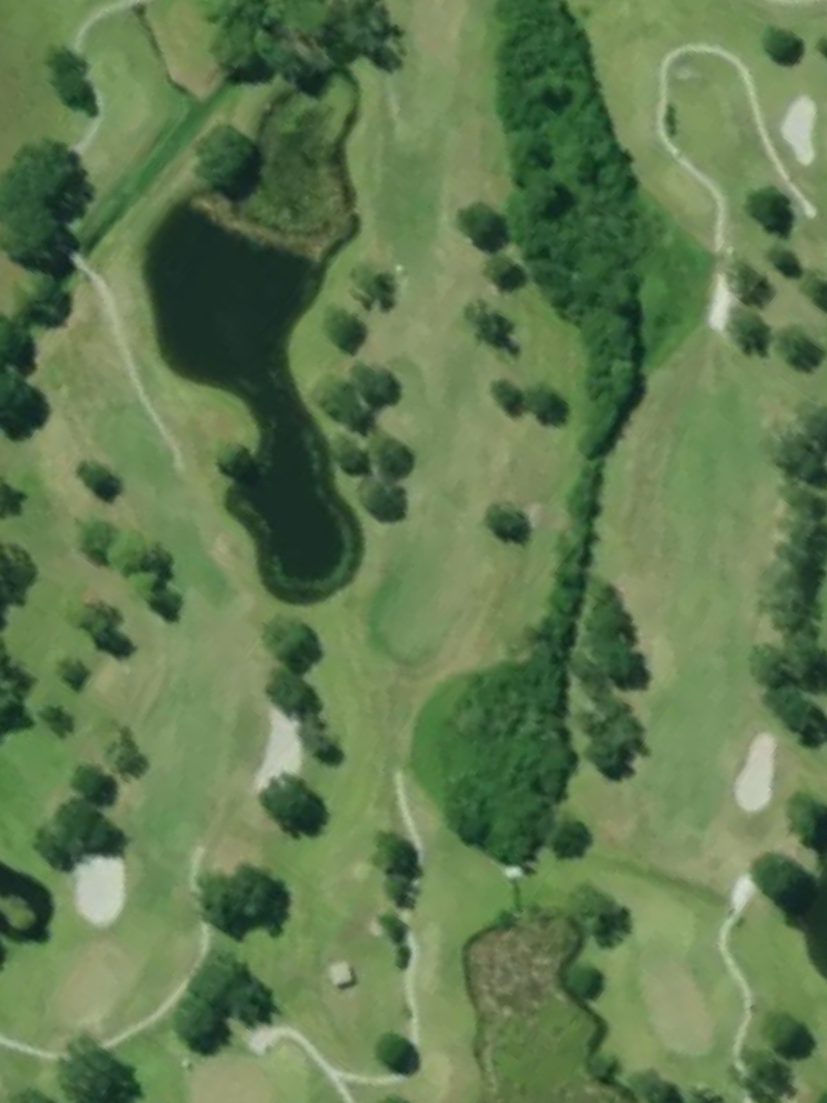 Hole 8 satellite