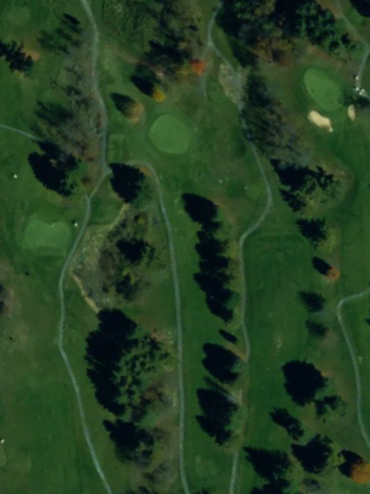 Hole 15 satellite