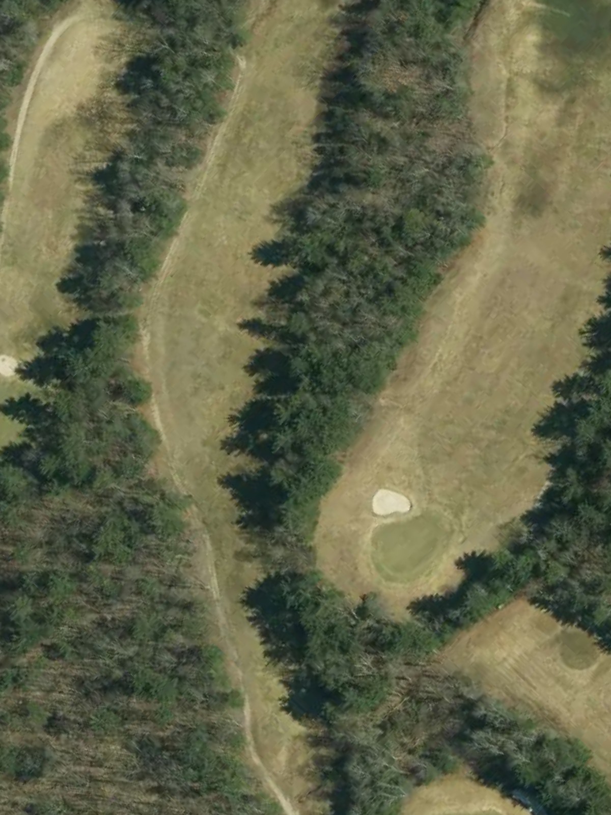 Hole 15 satellite