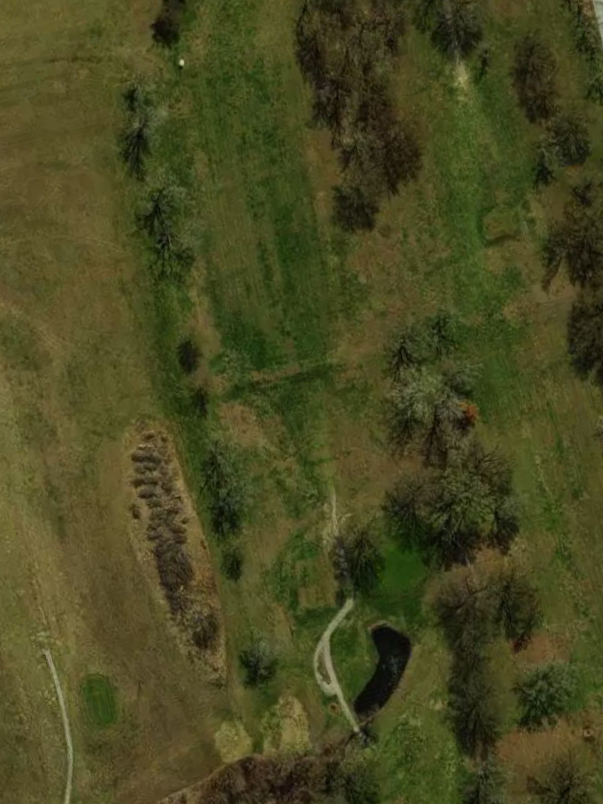 Hole 17 satellite