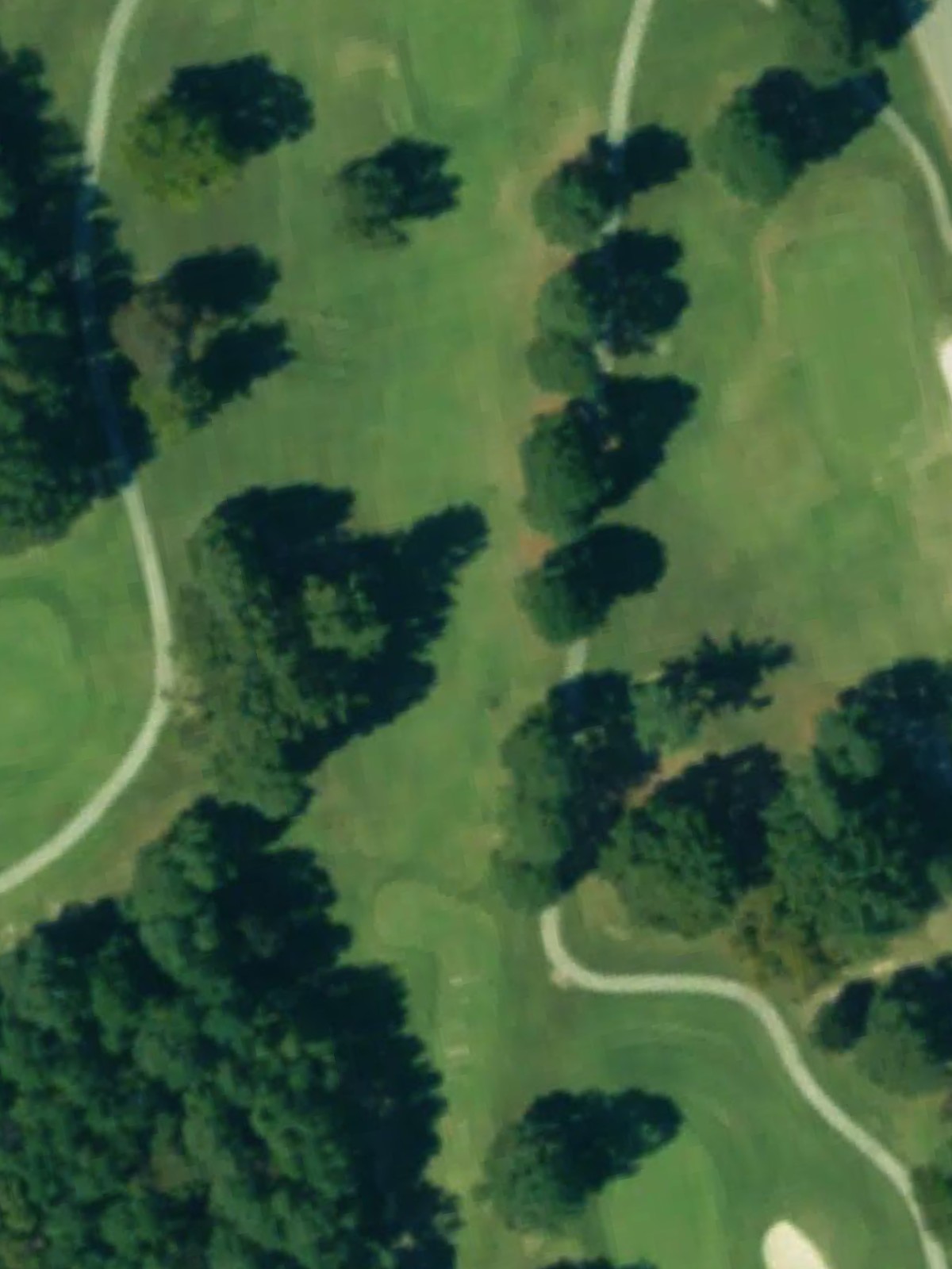 Hole 8 satellite