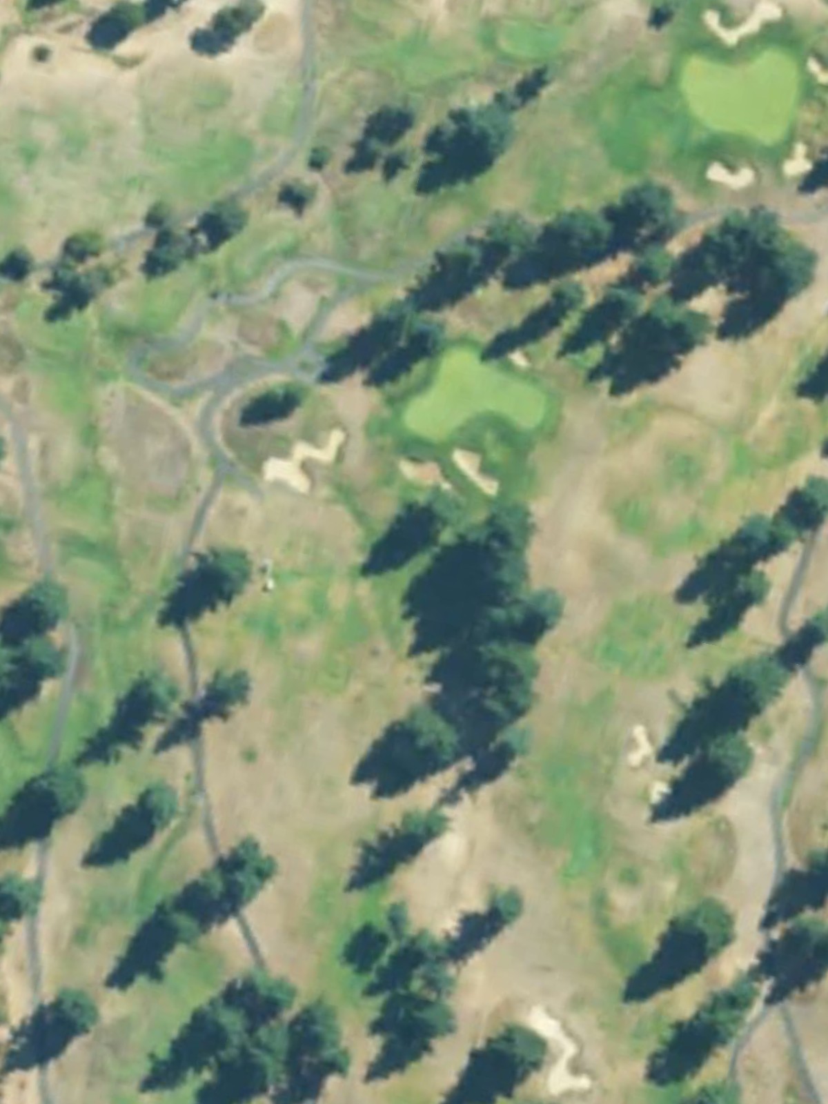 Hole 12 satellite