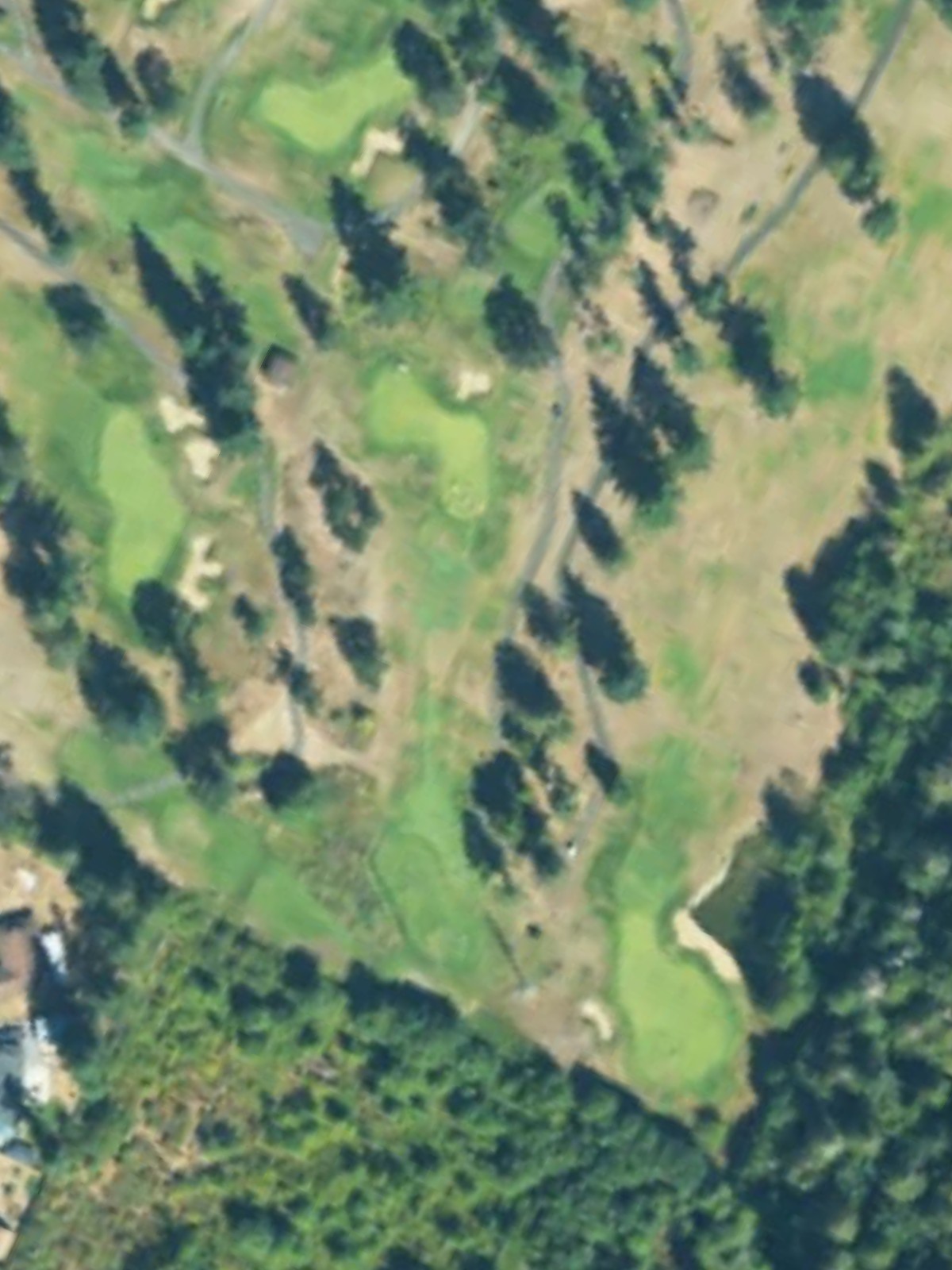 Hole 6 satellite