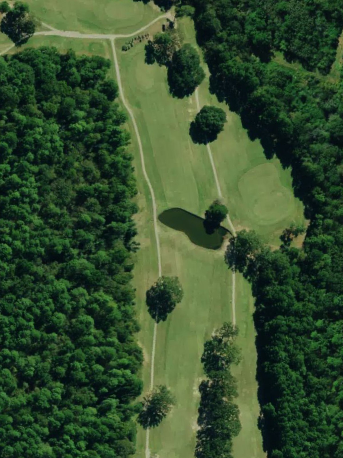 Hole 6 satellite