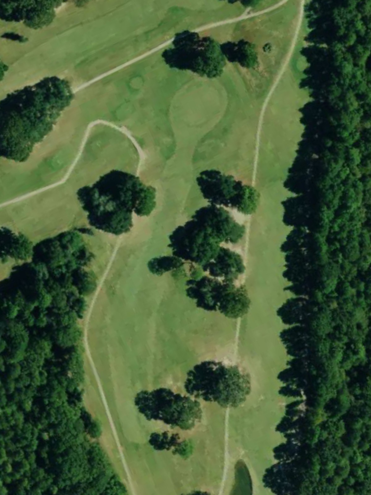 Hole 7 satellite