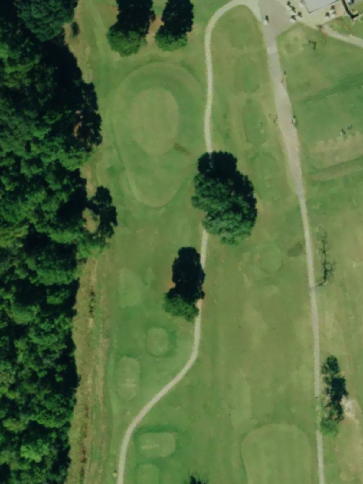 Hole 9 satellite