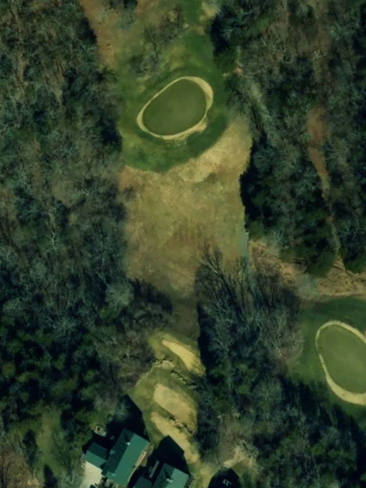 Hole 7 satellite