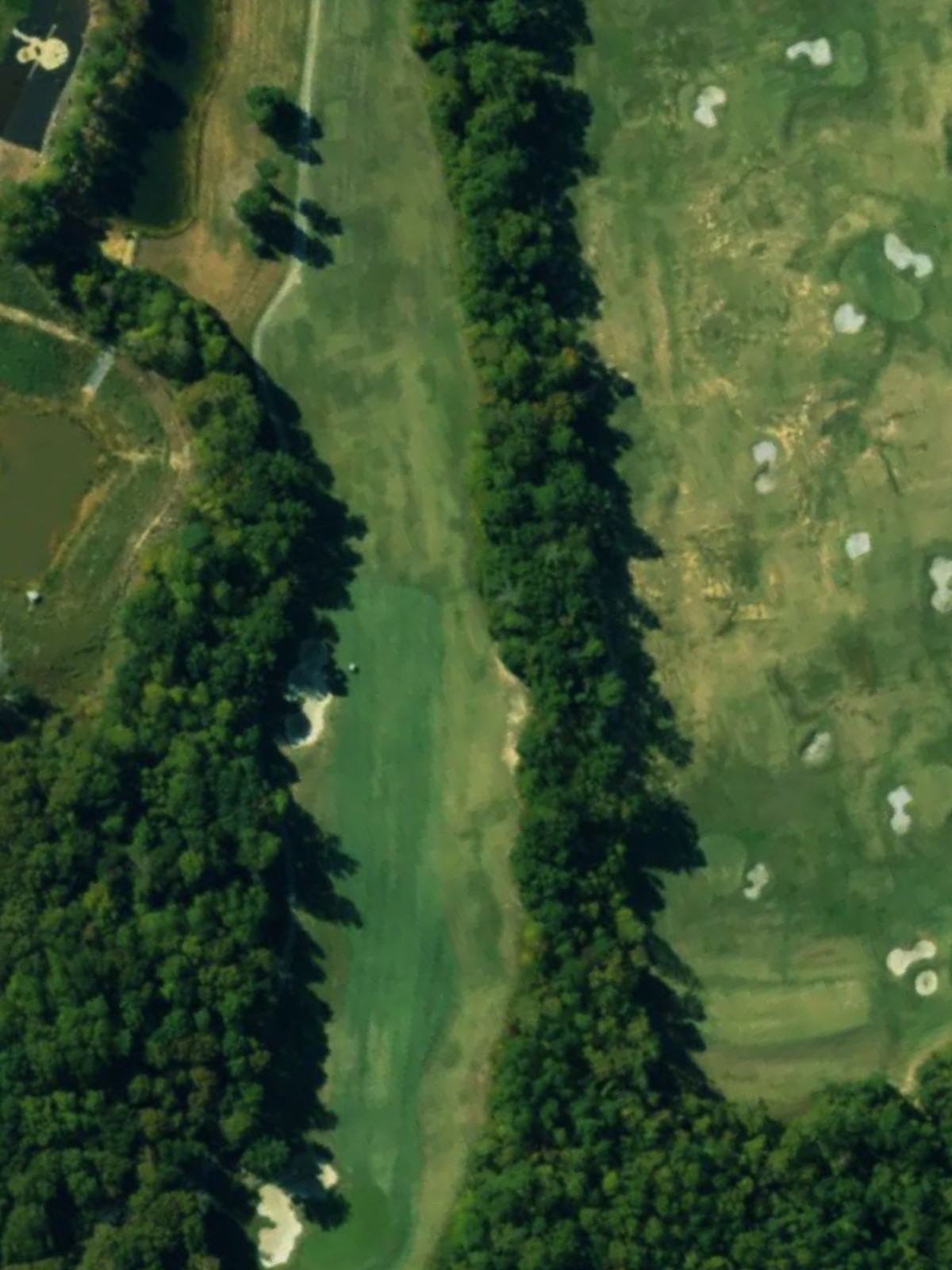 Hole 10 satellite