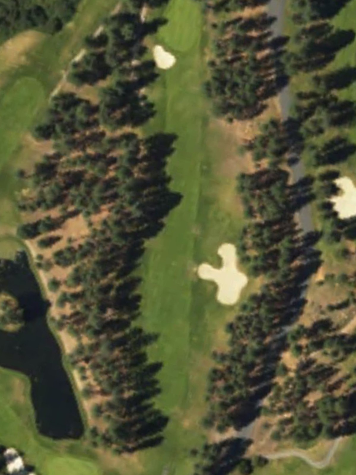 Hole 15 satellite