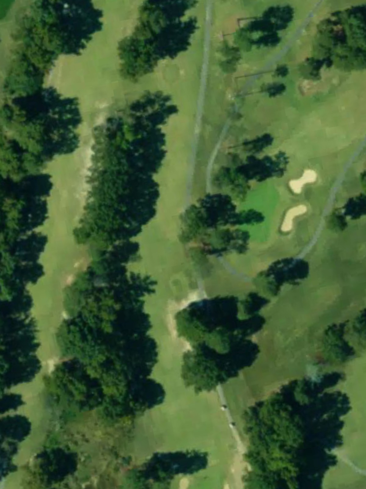 Hole 10 satellite