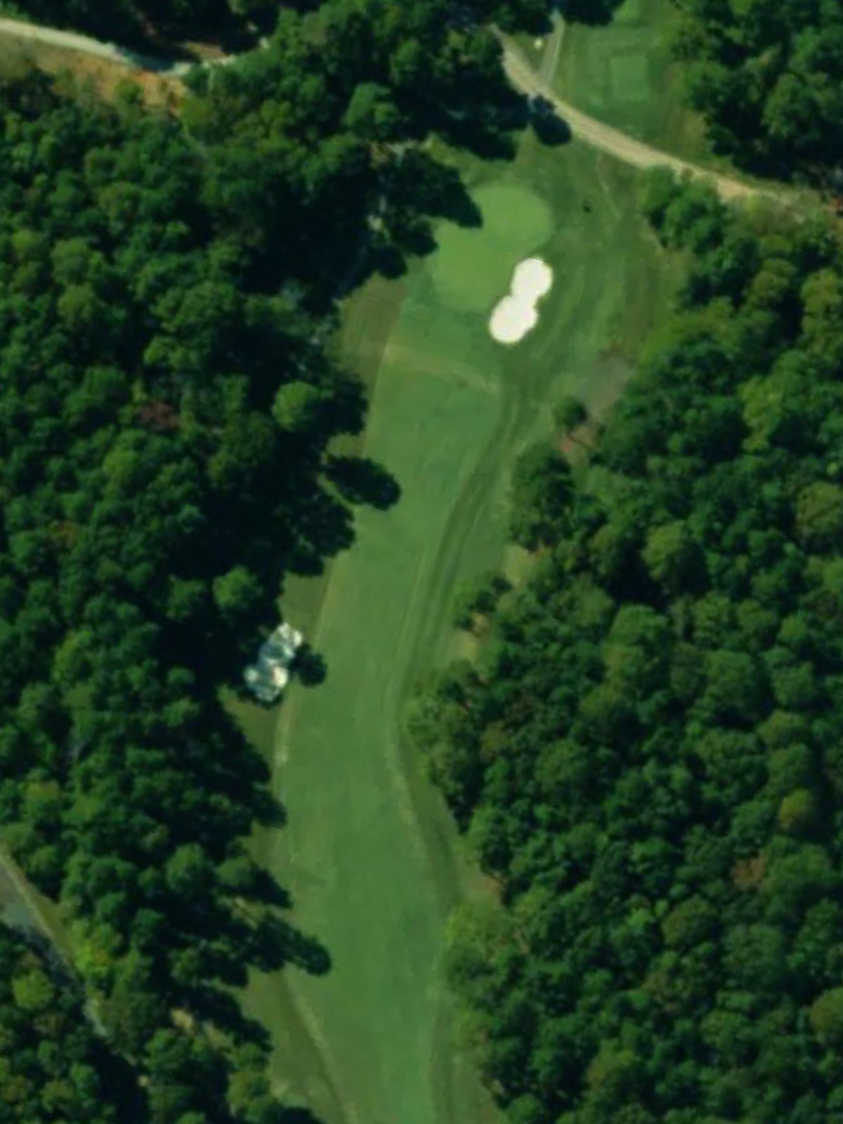 Hole 6 satellite