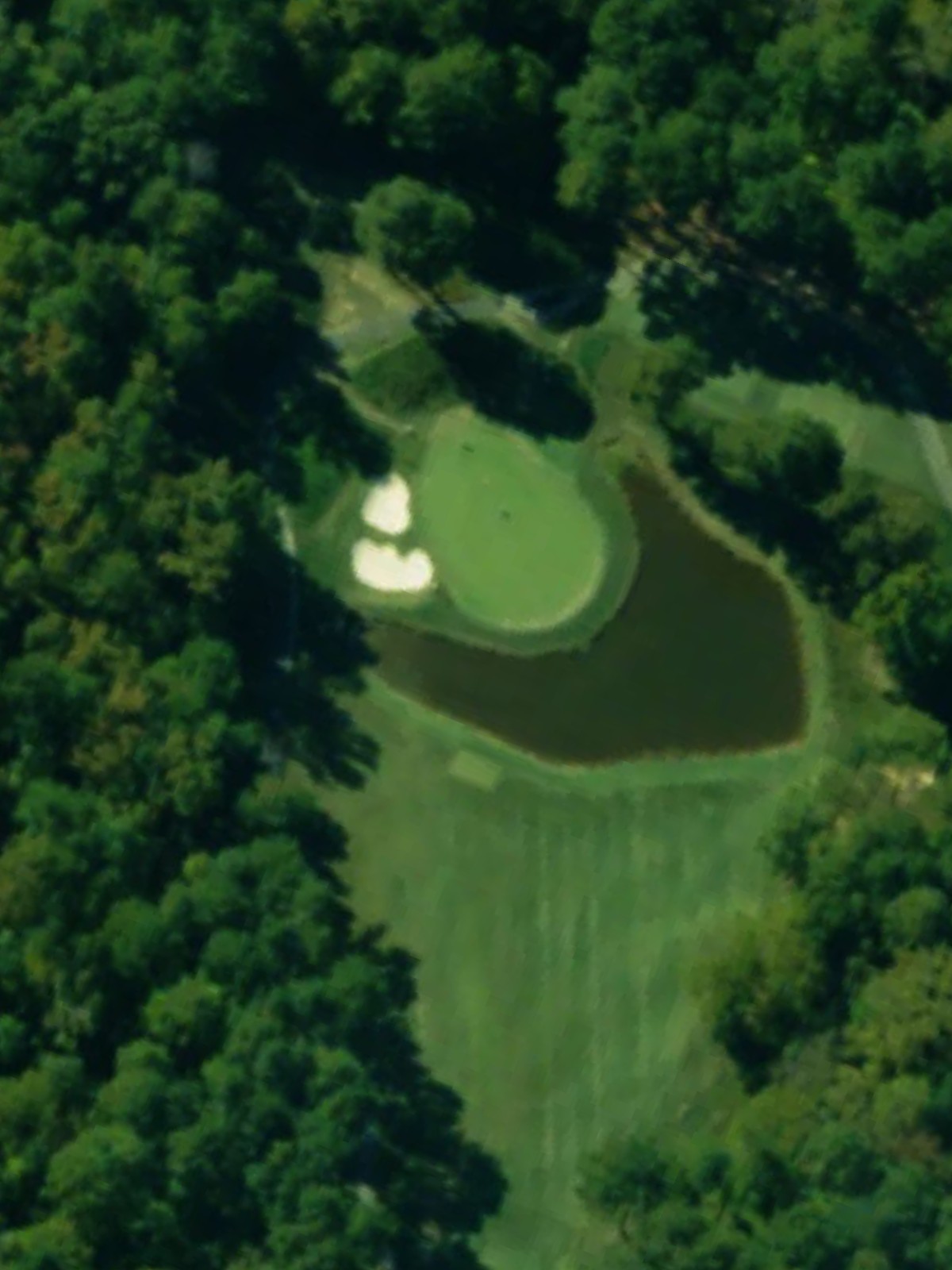 Hole 7 satellite