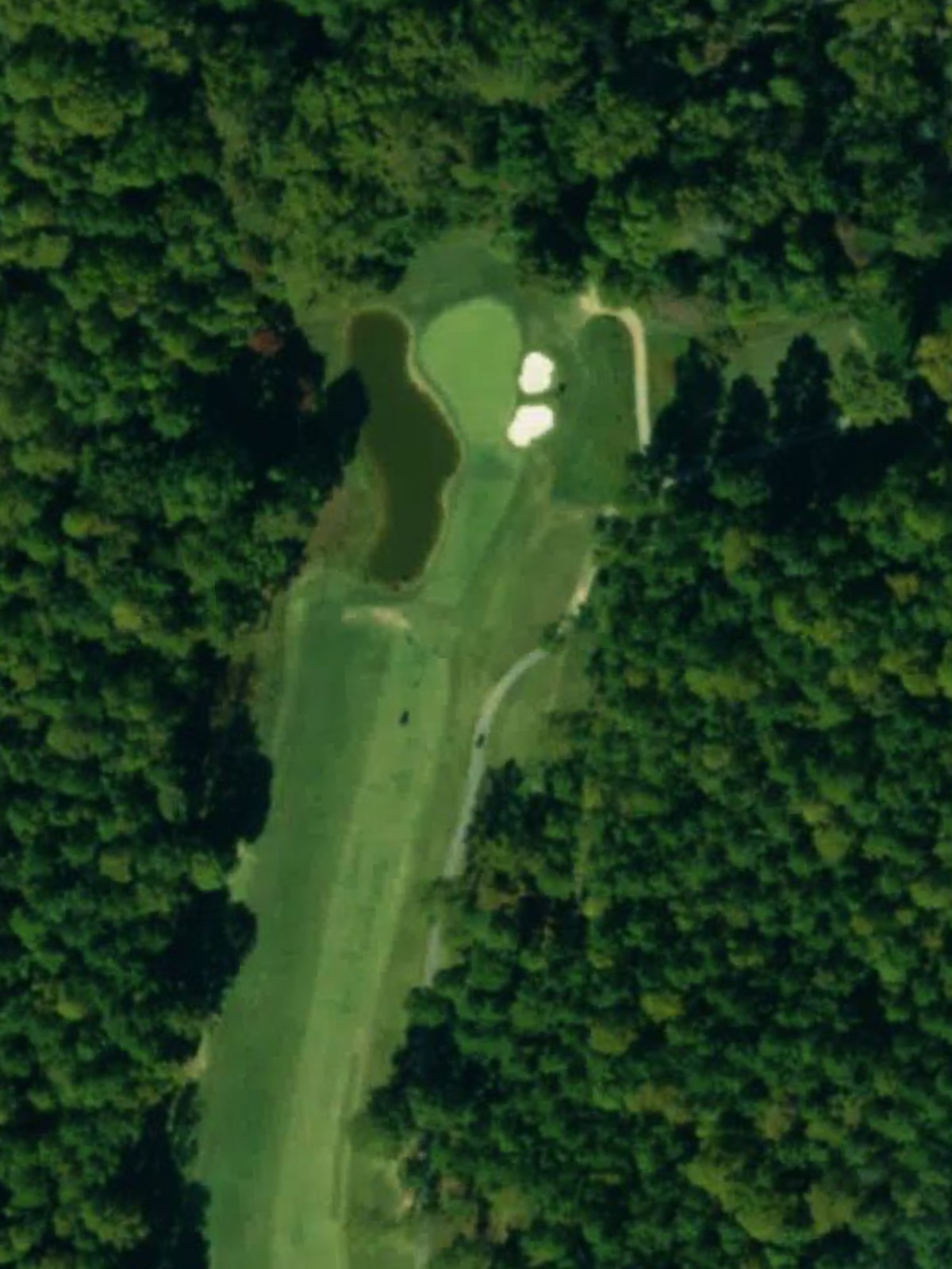Hole 8 satellite