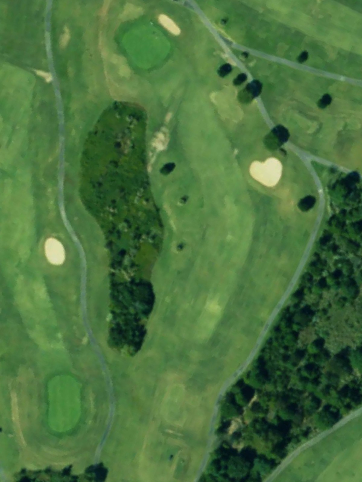 Hole 7 satellite