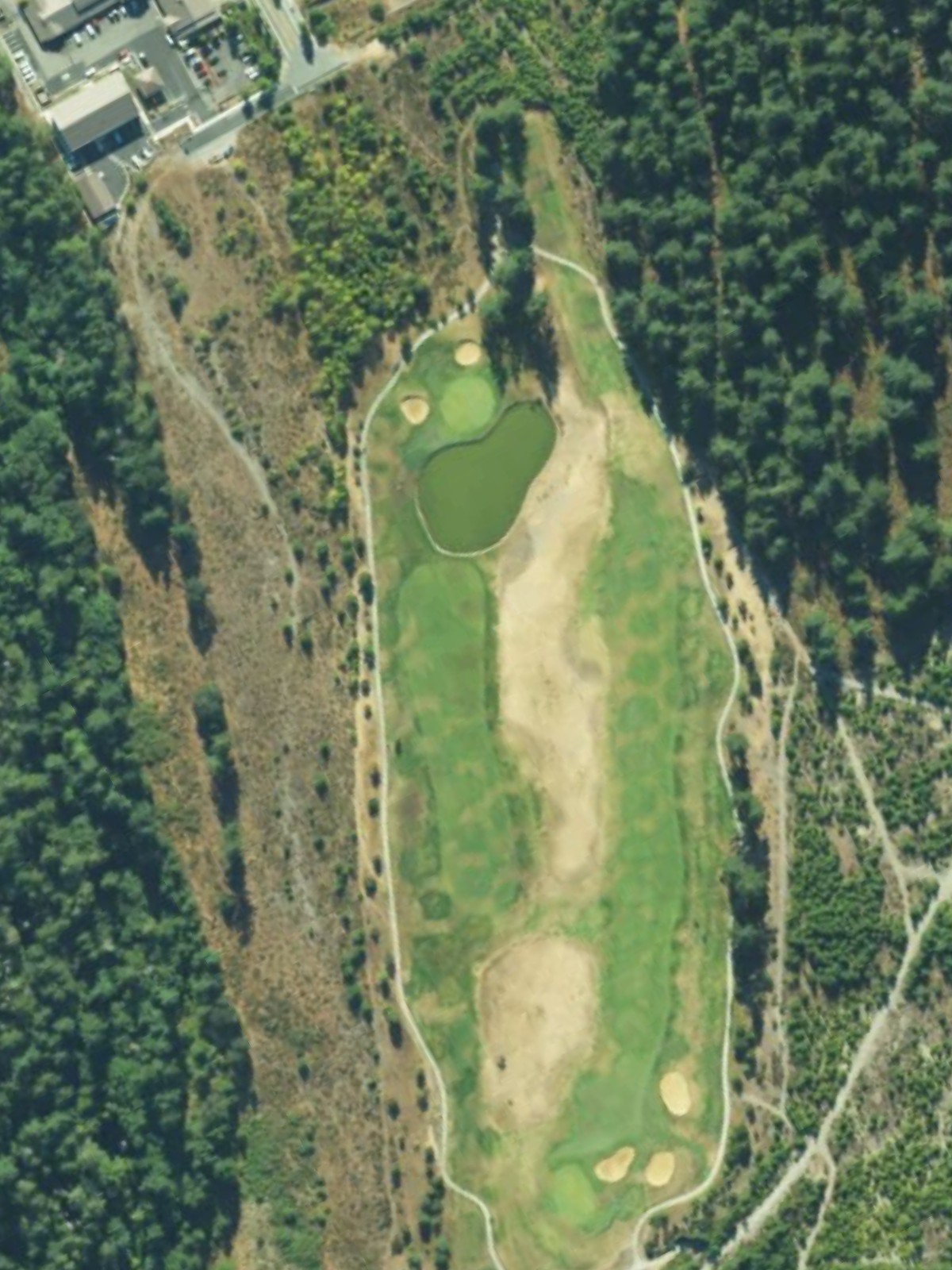 Hole 7 satellite