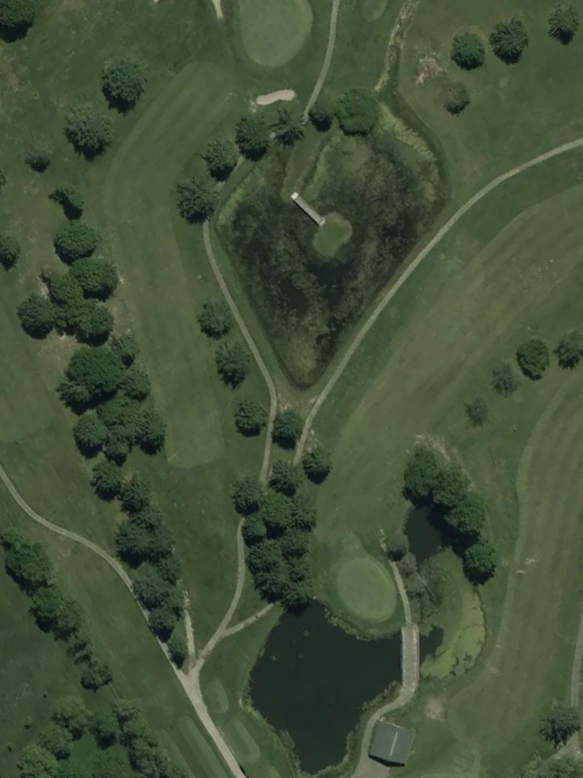 Hole 15 satellite