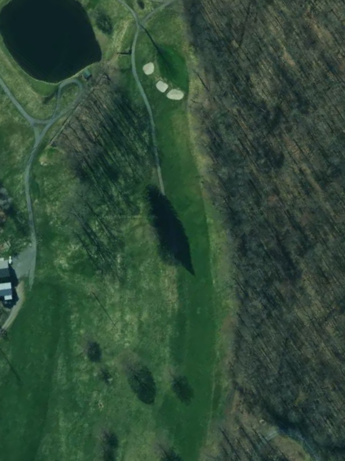 Hole 3 satellite