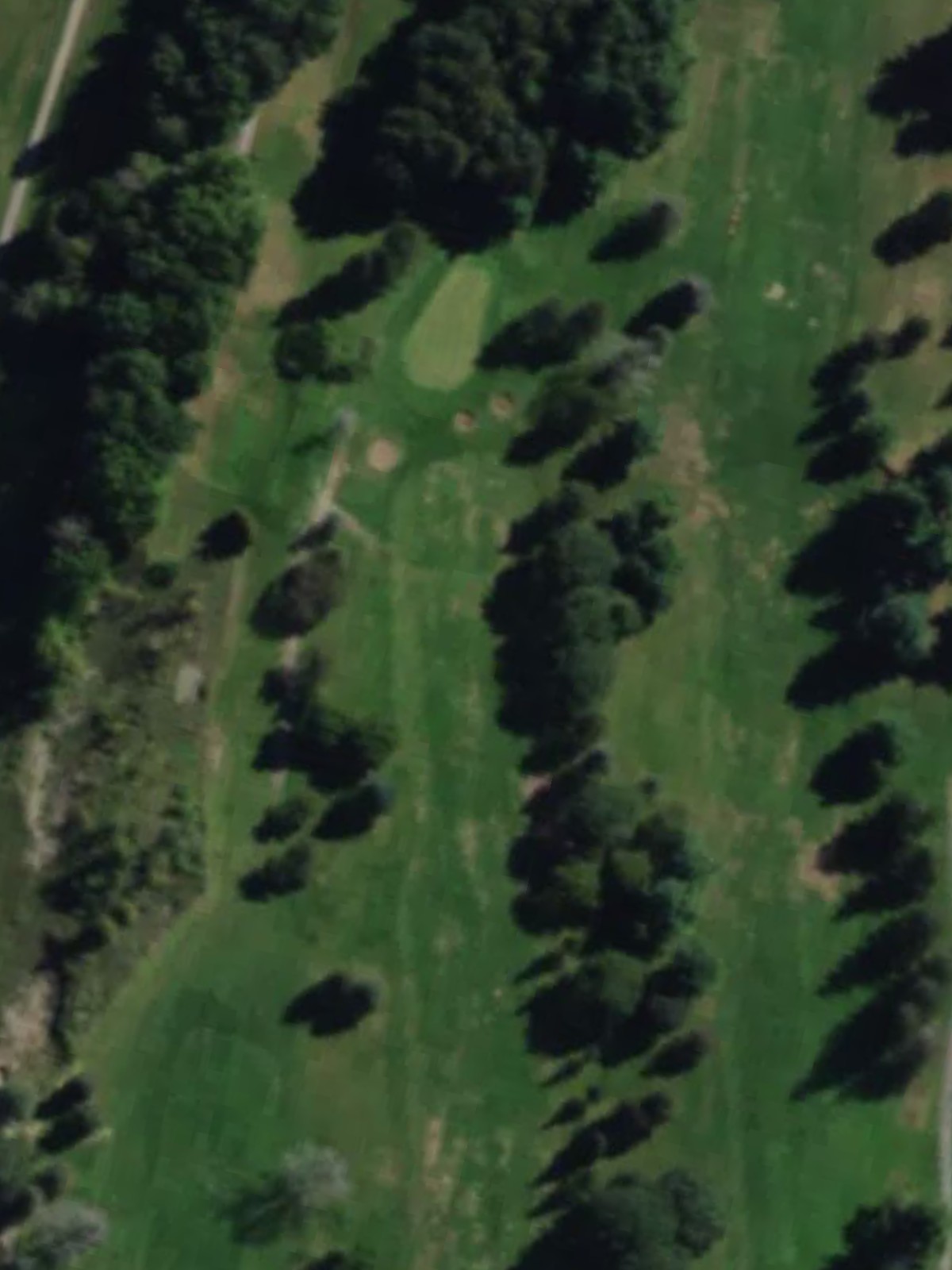 Hole 10 satellite