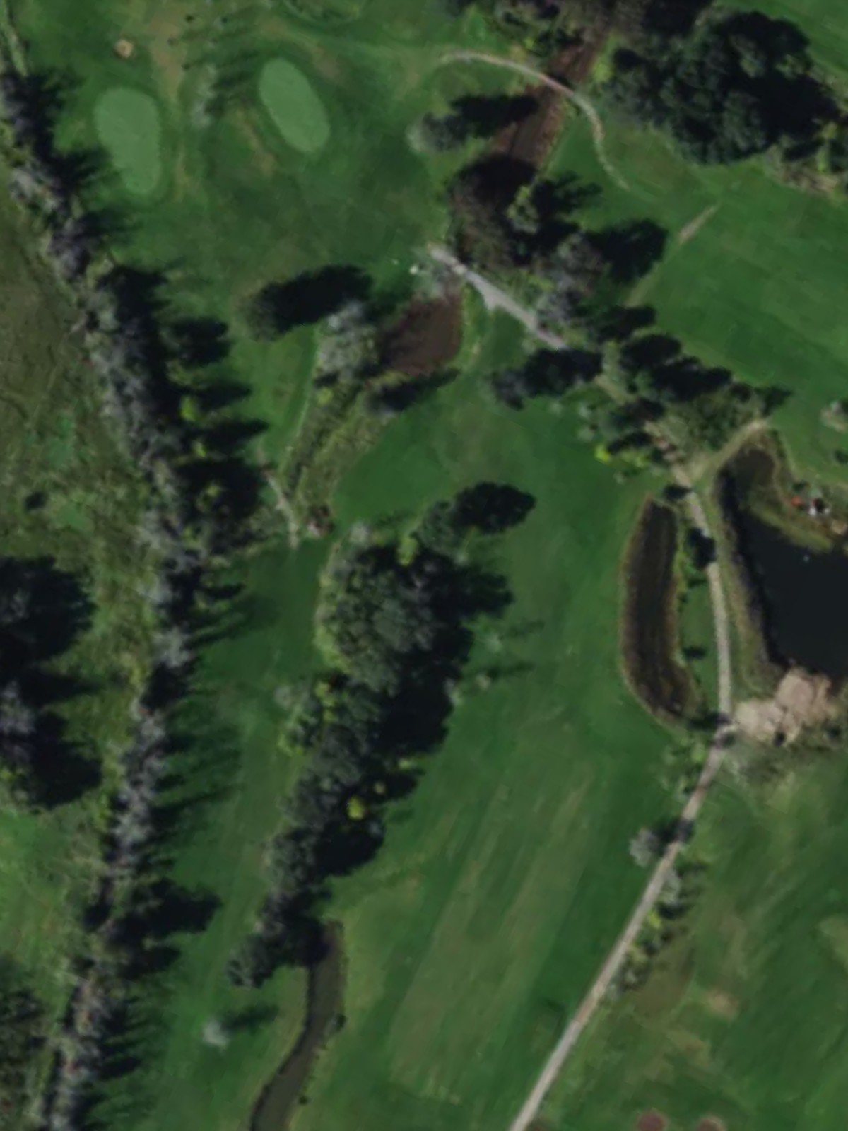 Hole 7 satellite