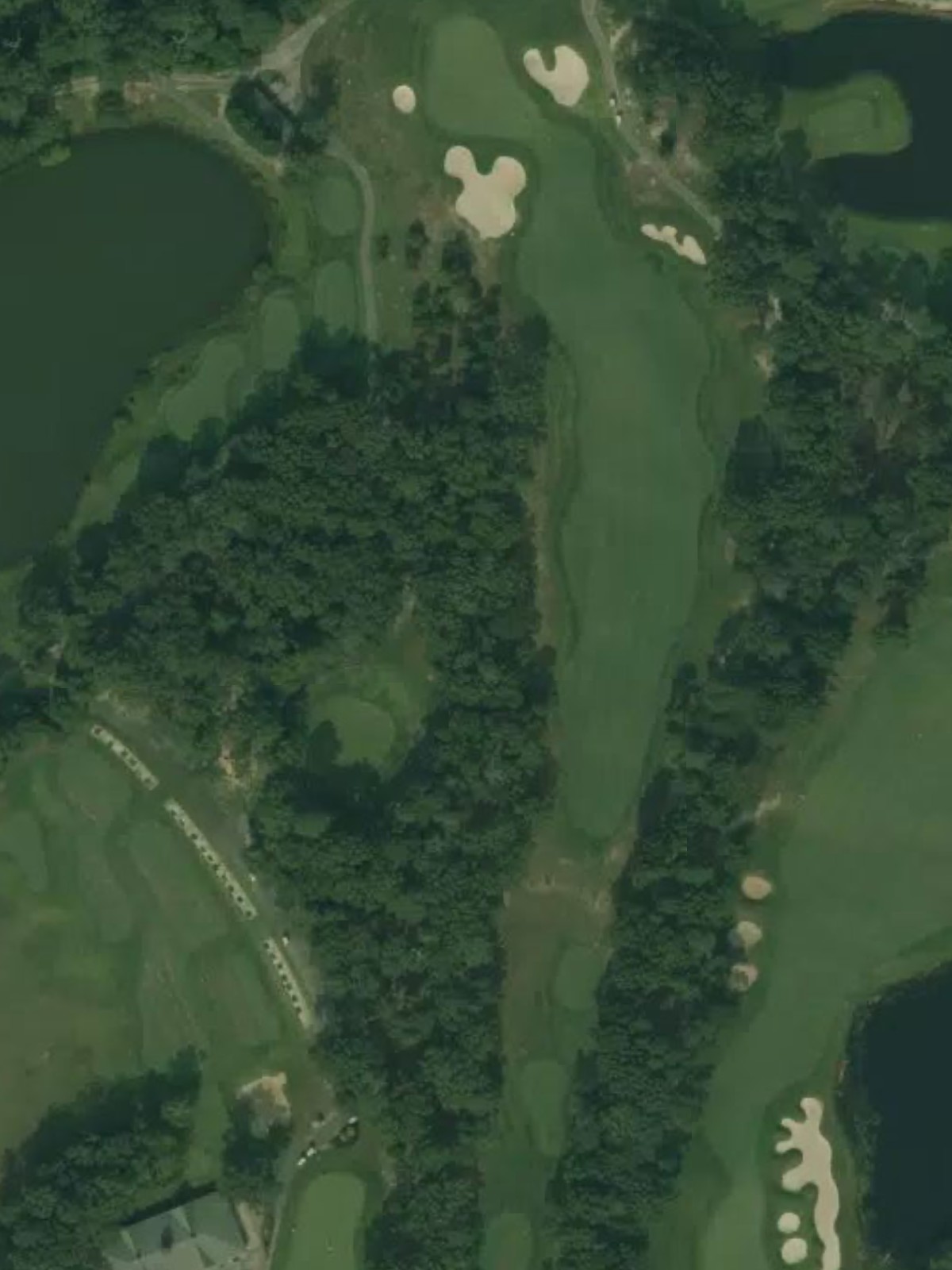 Hole 1 satellite