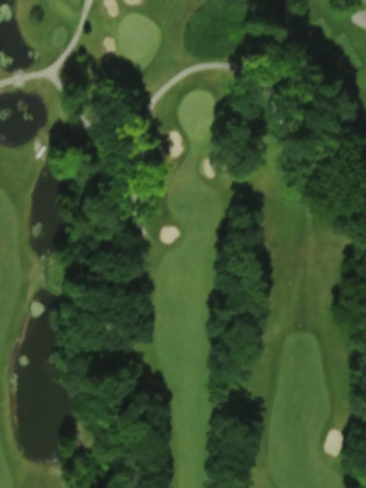 Hole 6 satellite