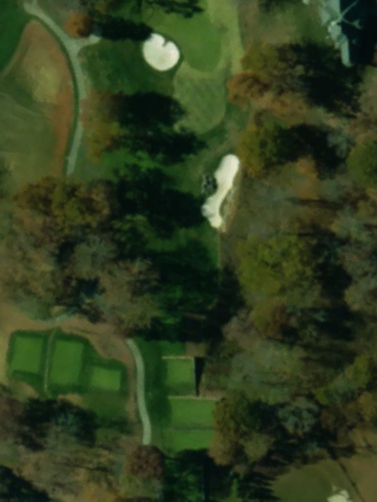 Hole 15 satellite