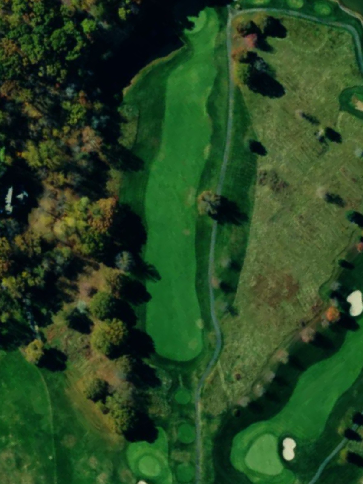 Hole 10 satellite