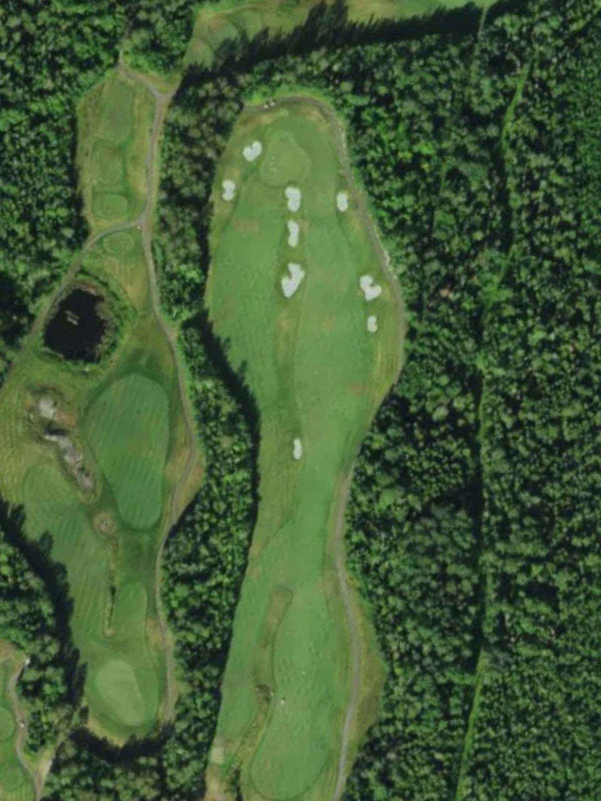 Hole 1 satellite