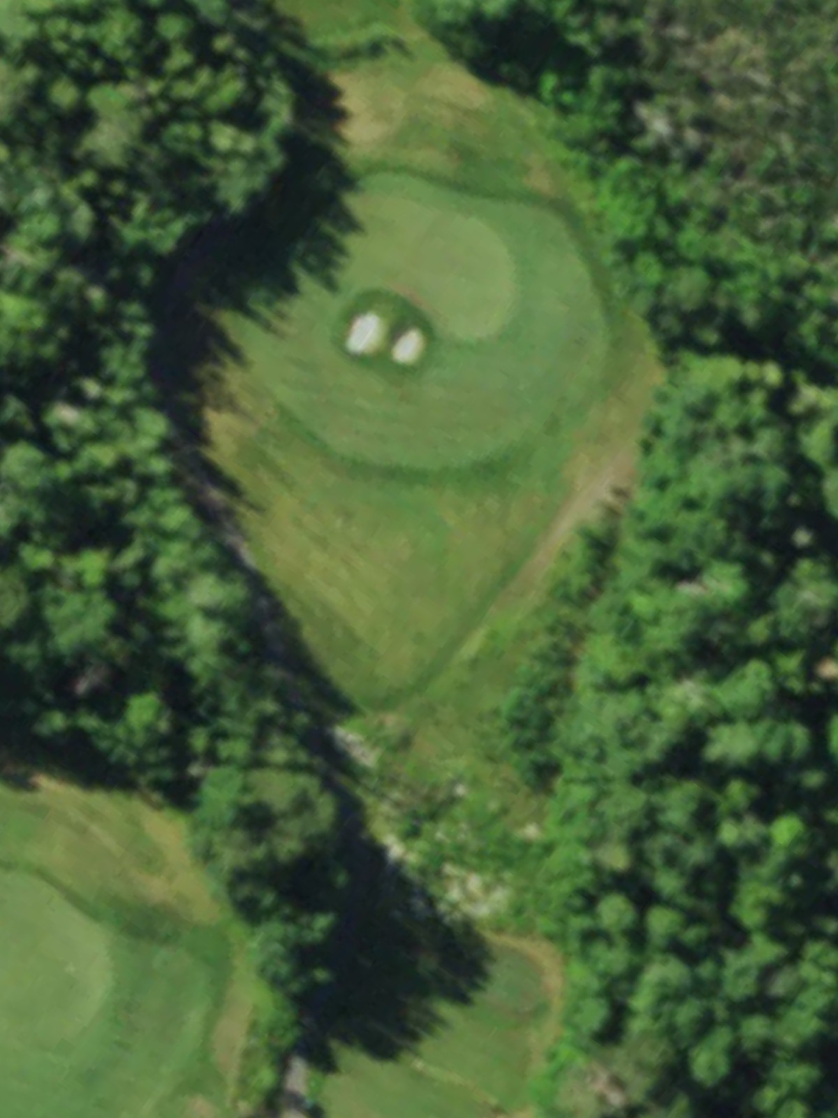 Hole 7 satellite