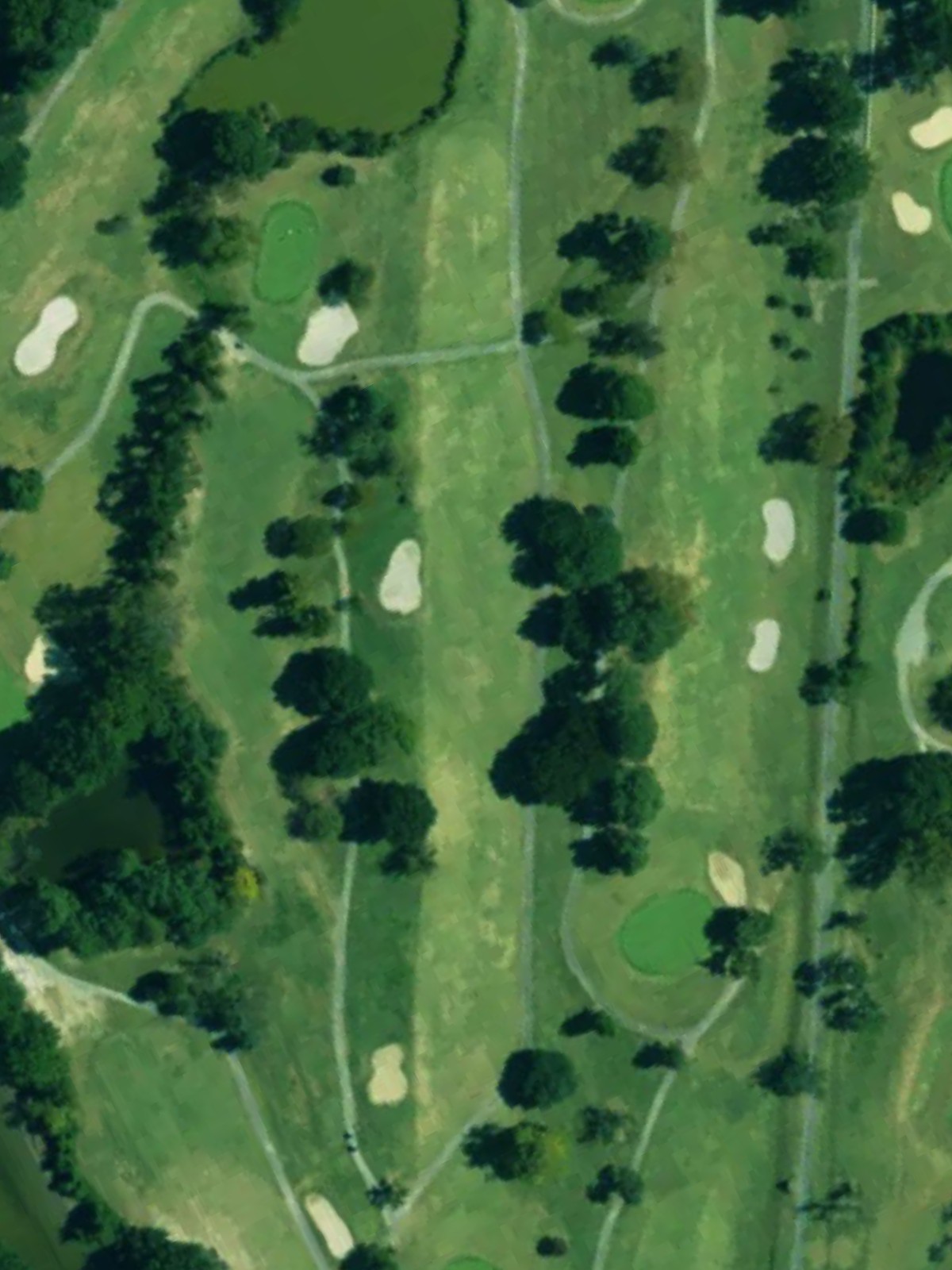 Hole 10 satellite