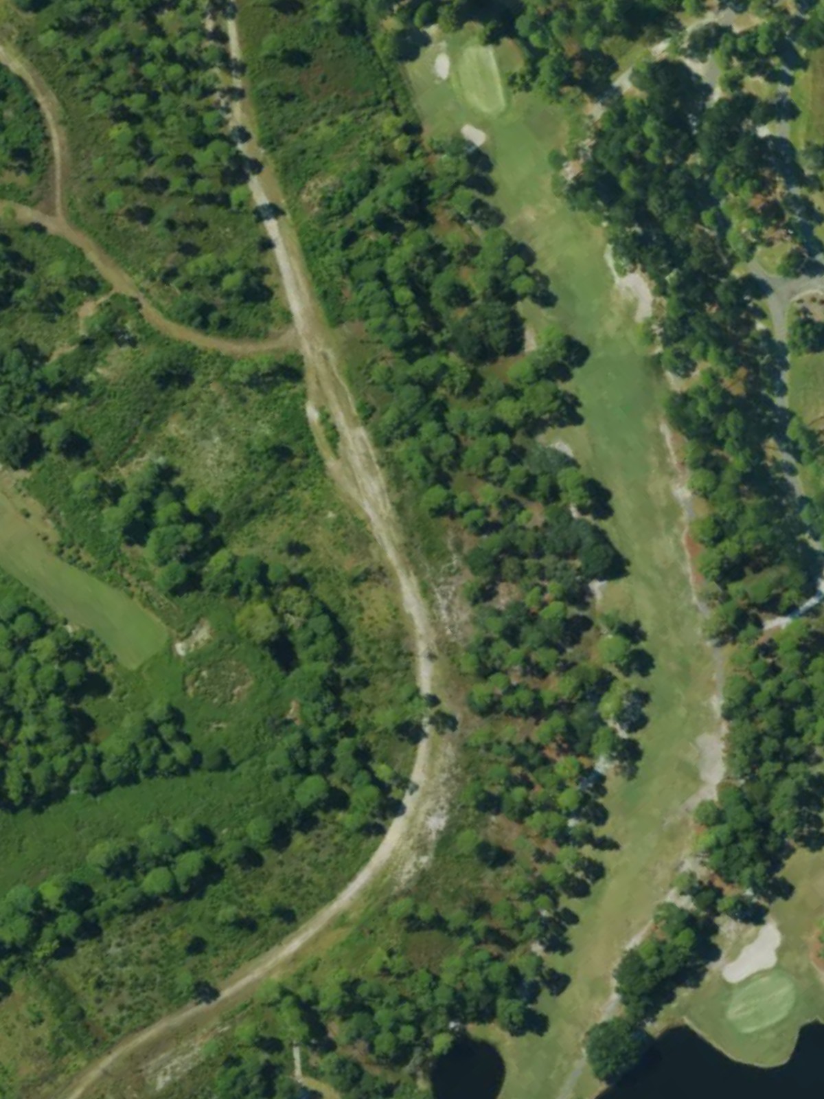 Hole 7 satellite