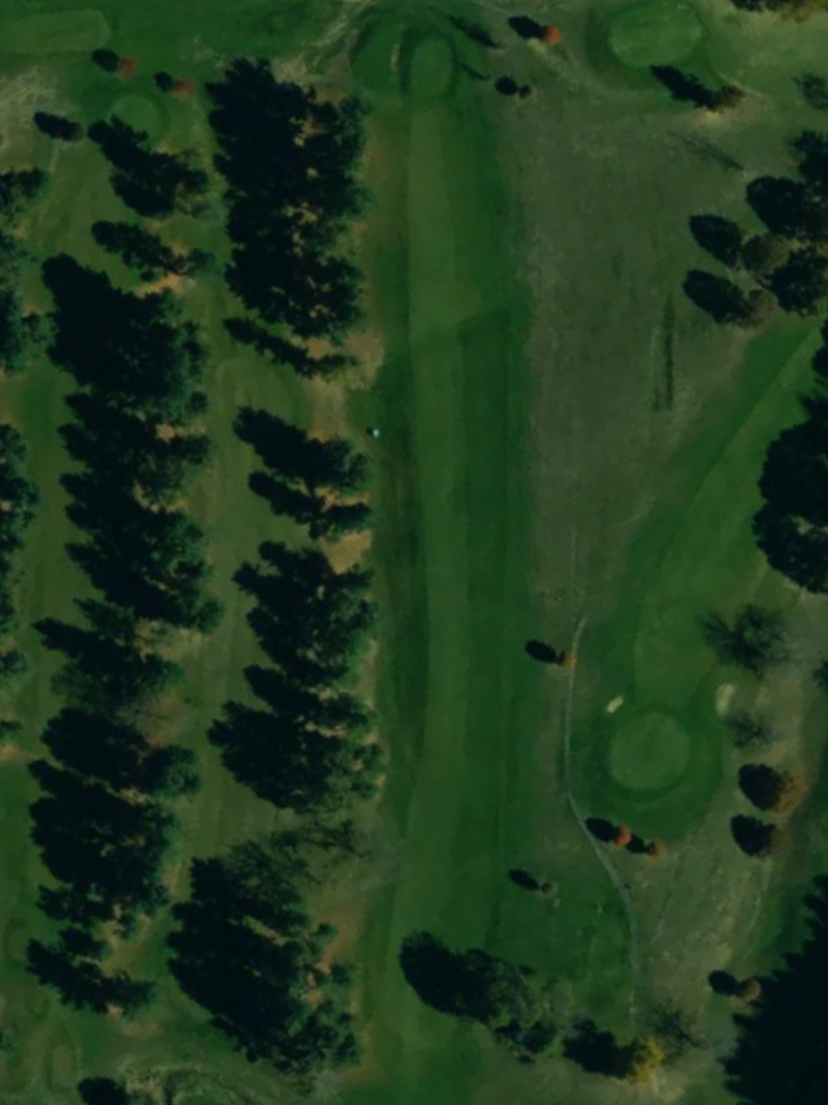 Hole 12 satellite