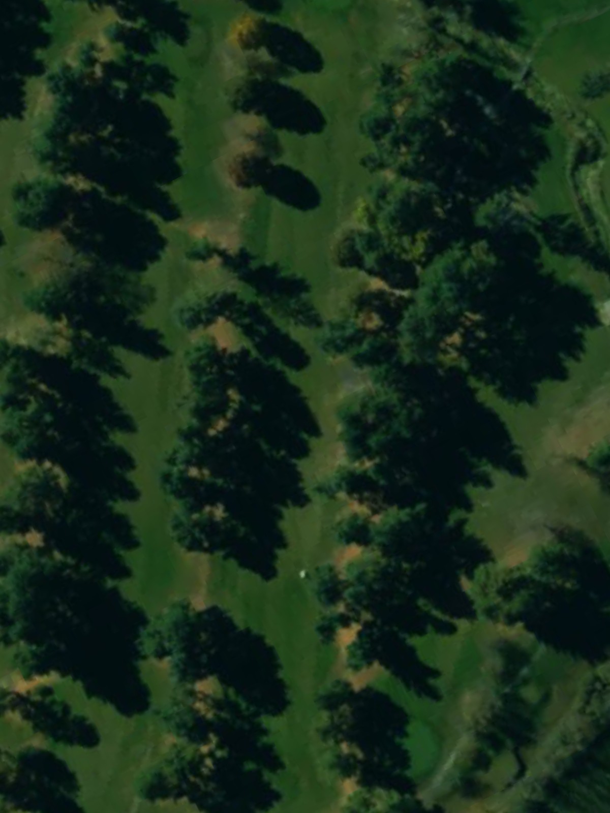 Hole 15 satellite