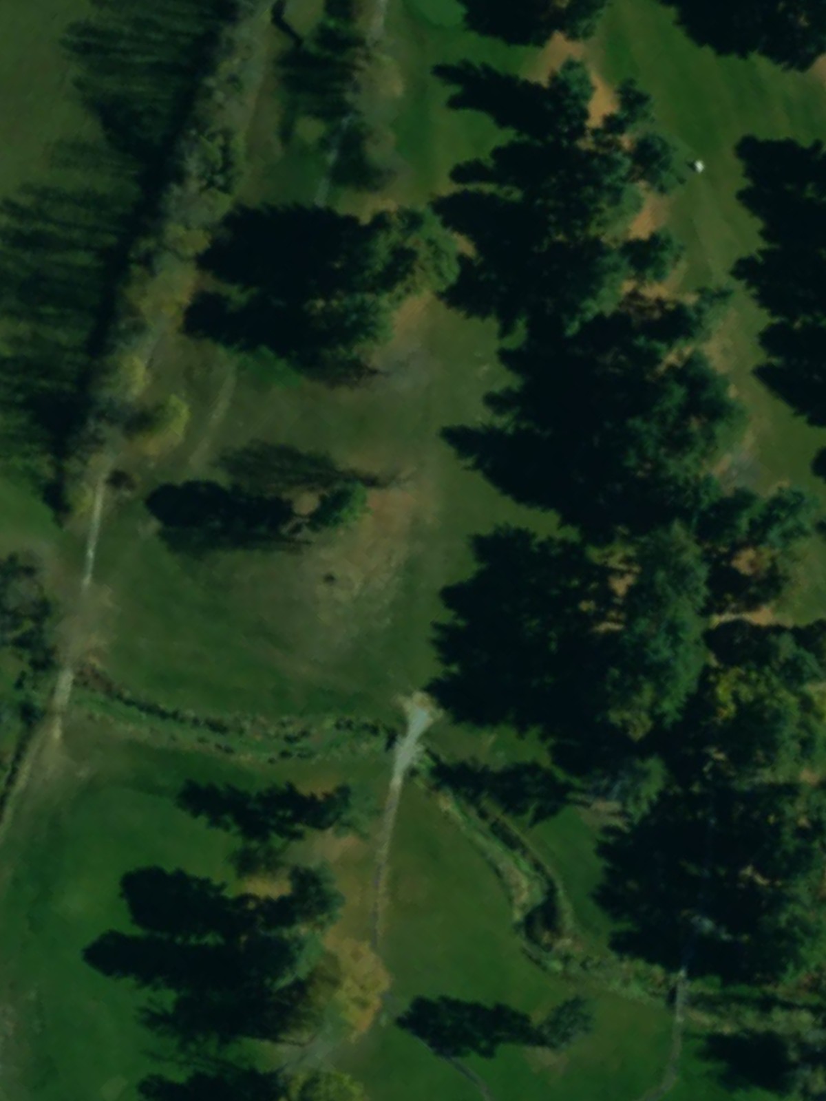Hole 17 satellite