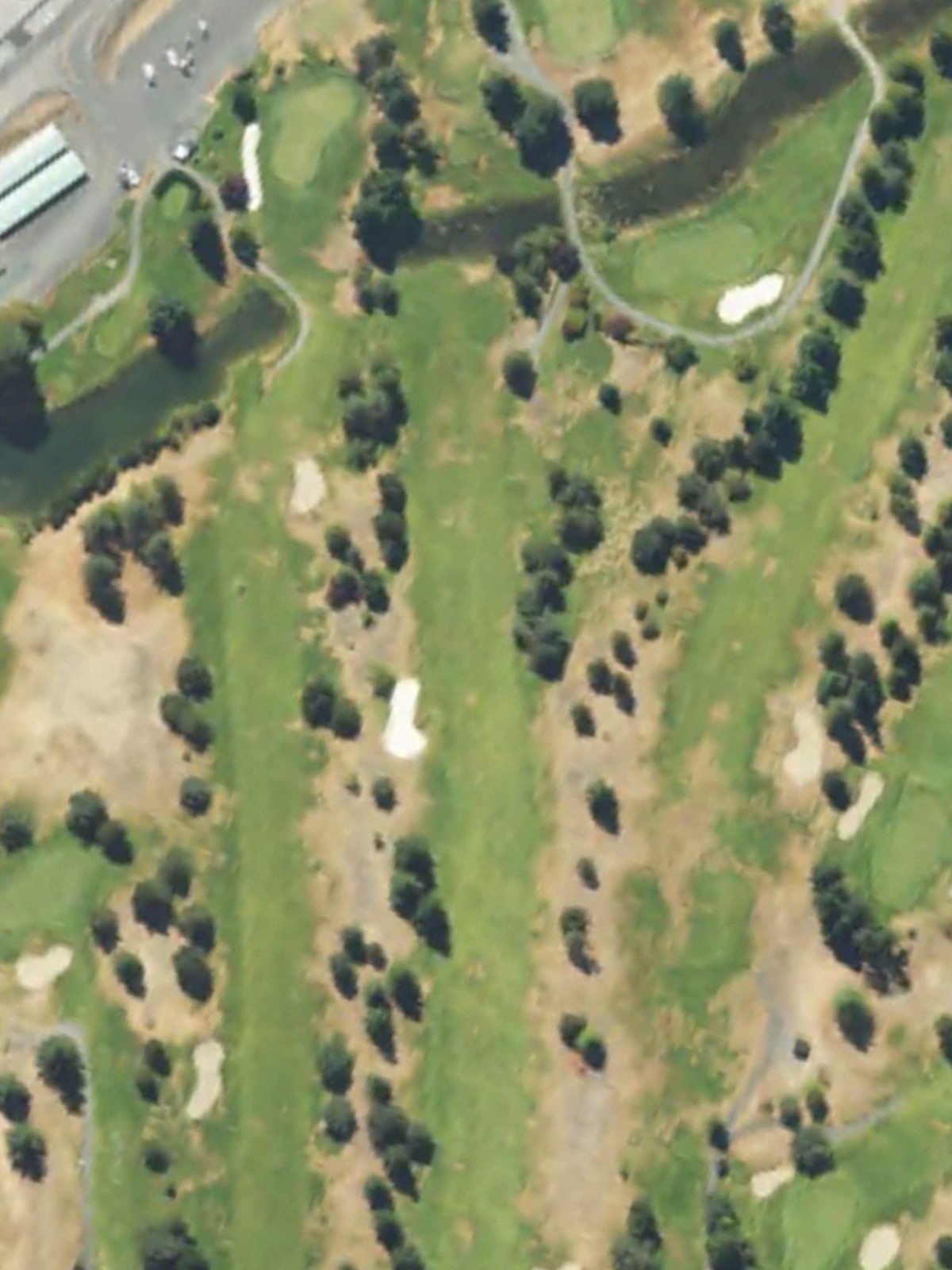 Hole 1 satellite