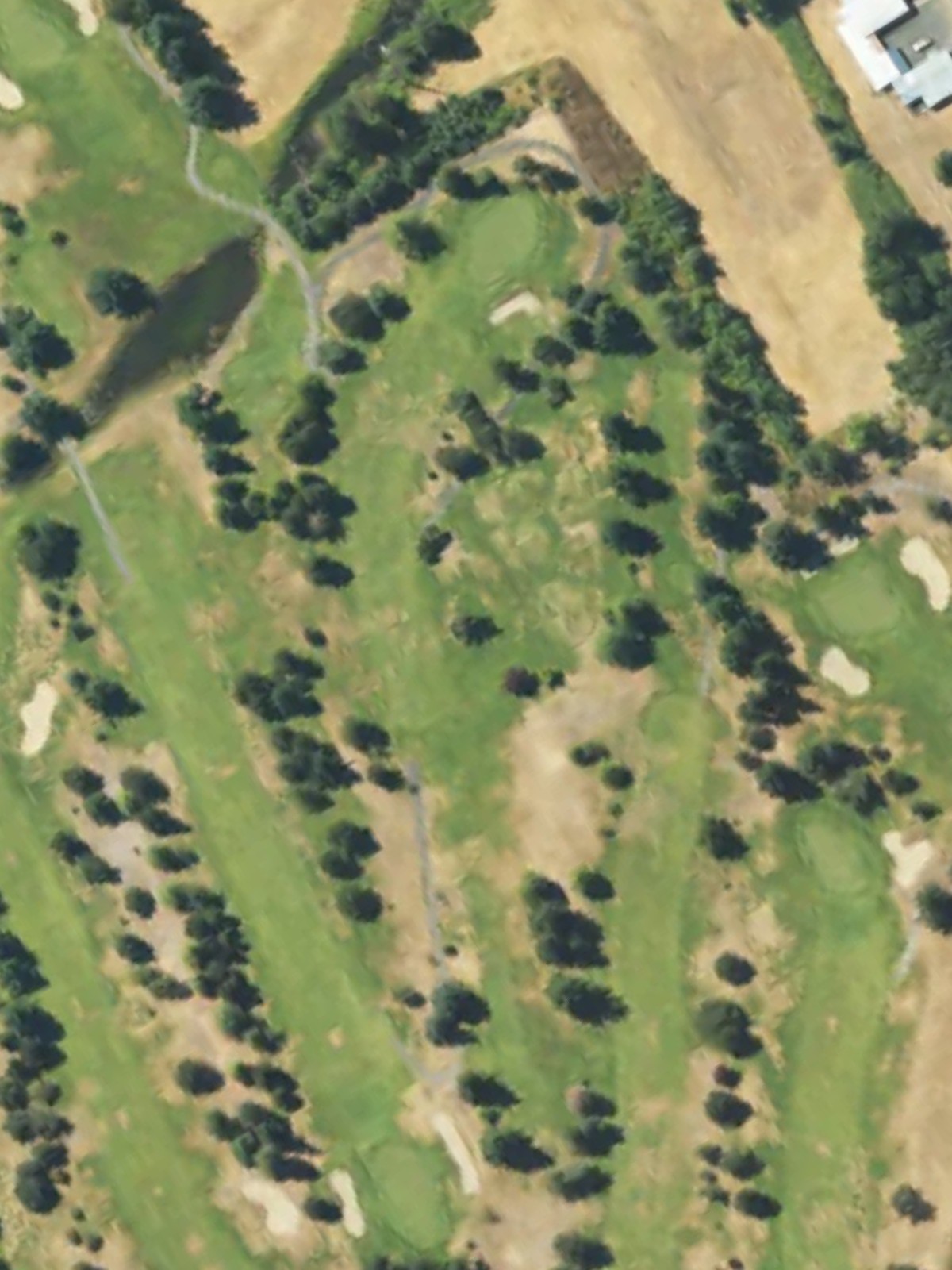 Hole 7 satellite