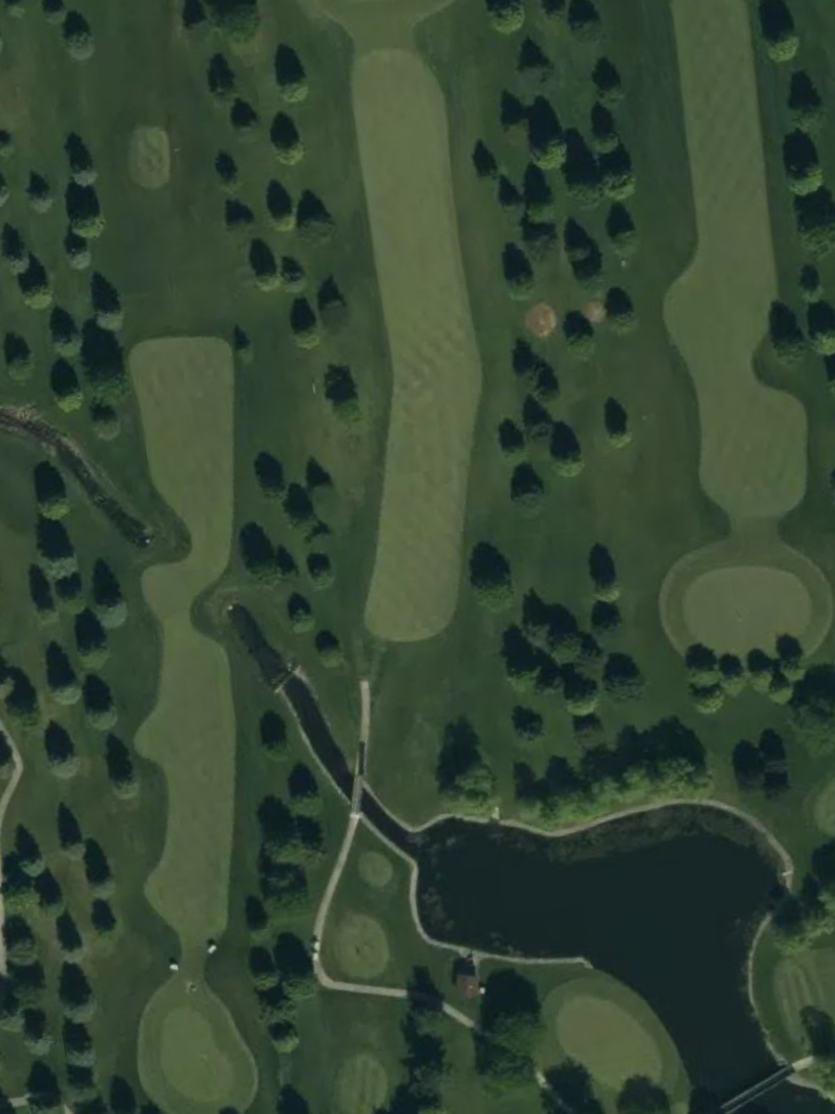 Hole 8 satellite