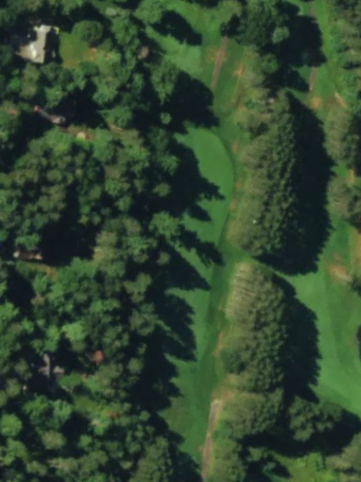 Hole 14 satellite