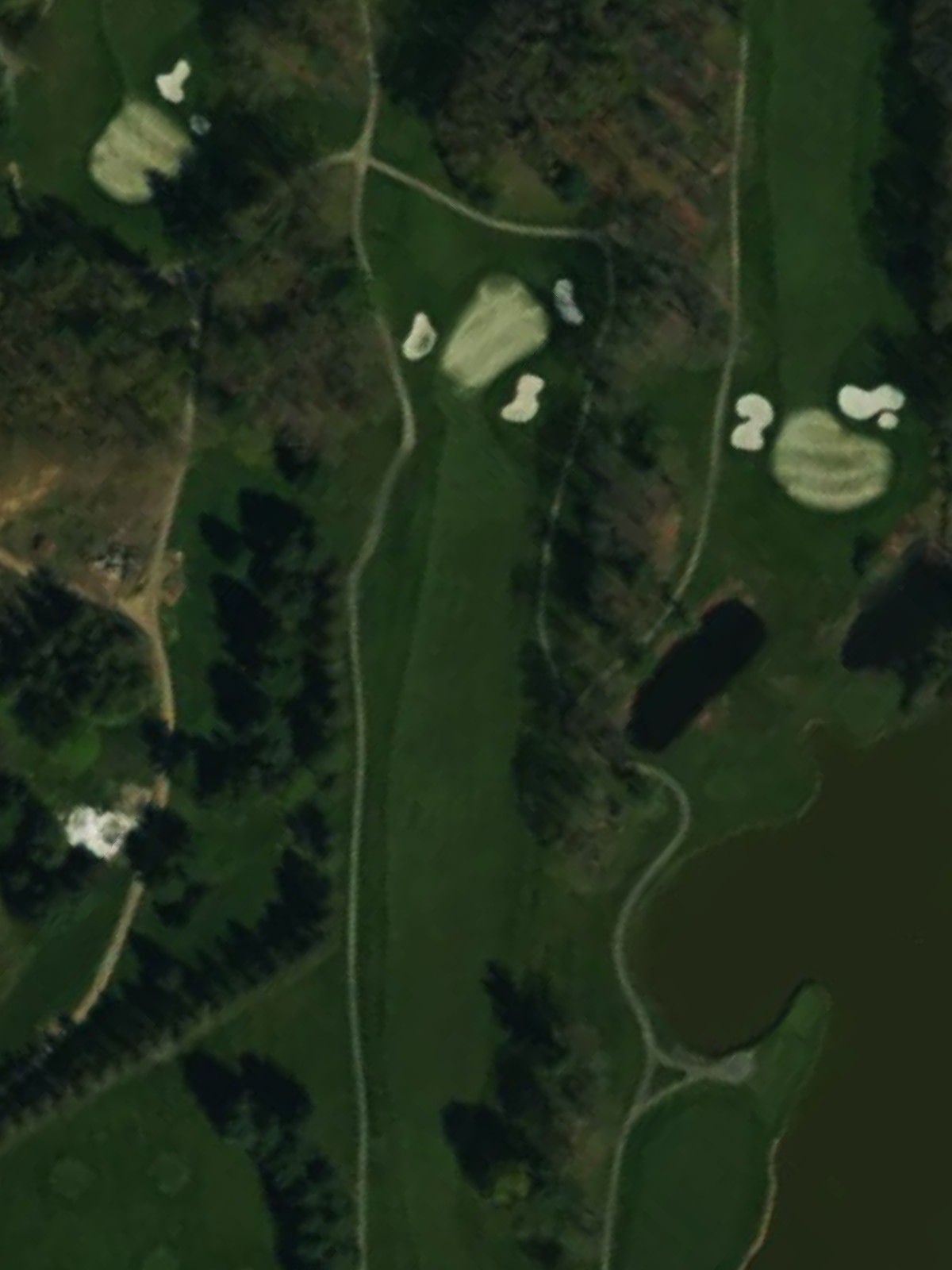 Hole 1 satellite