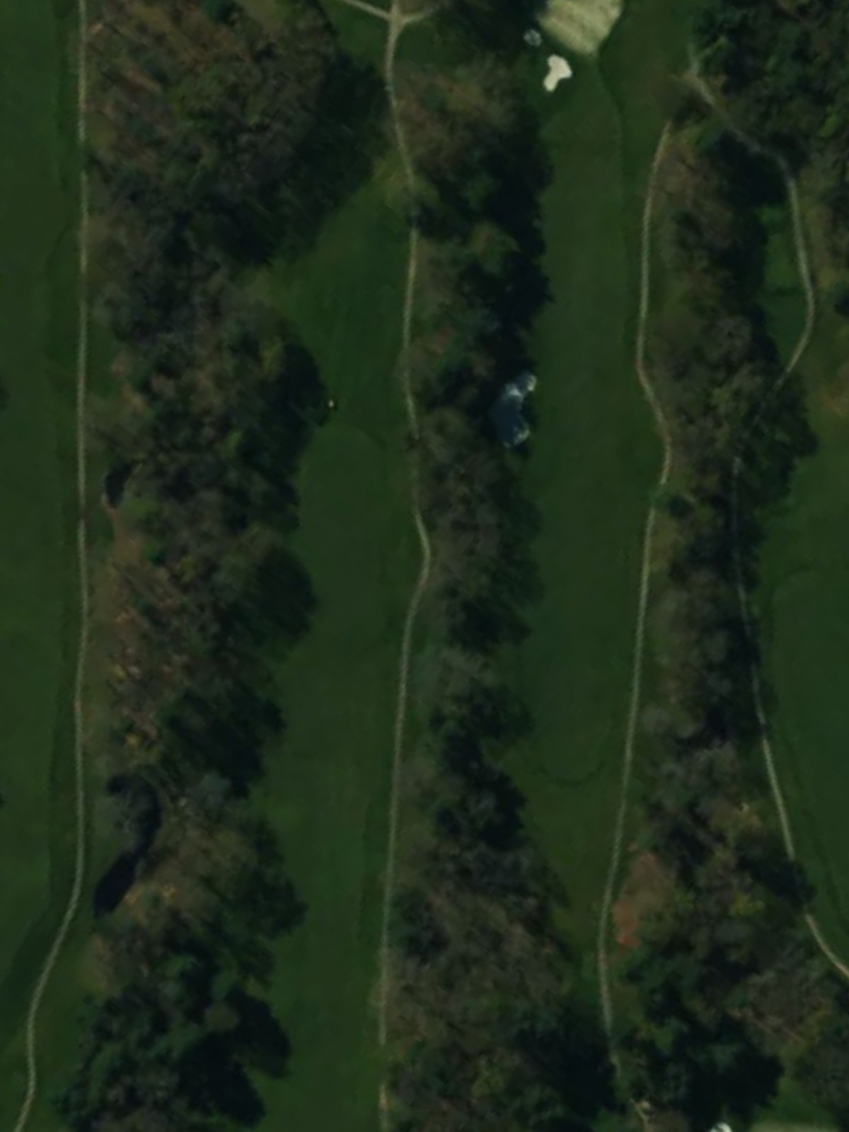 Hole 4 satellite